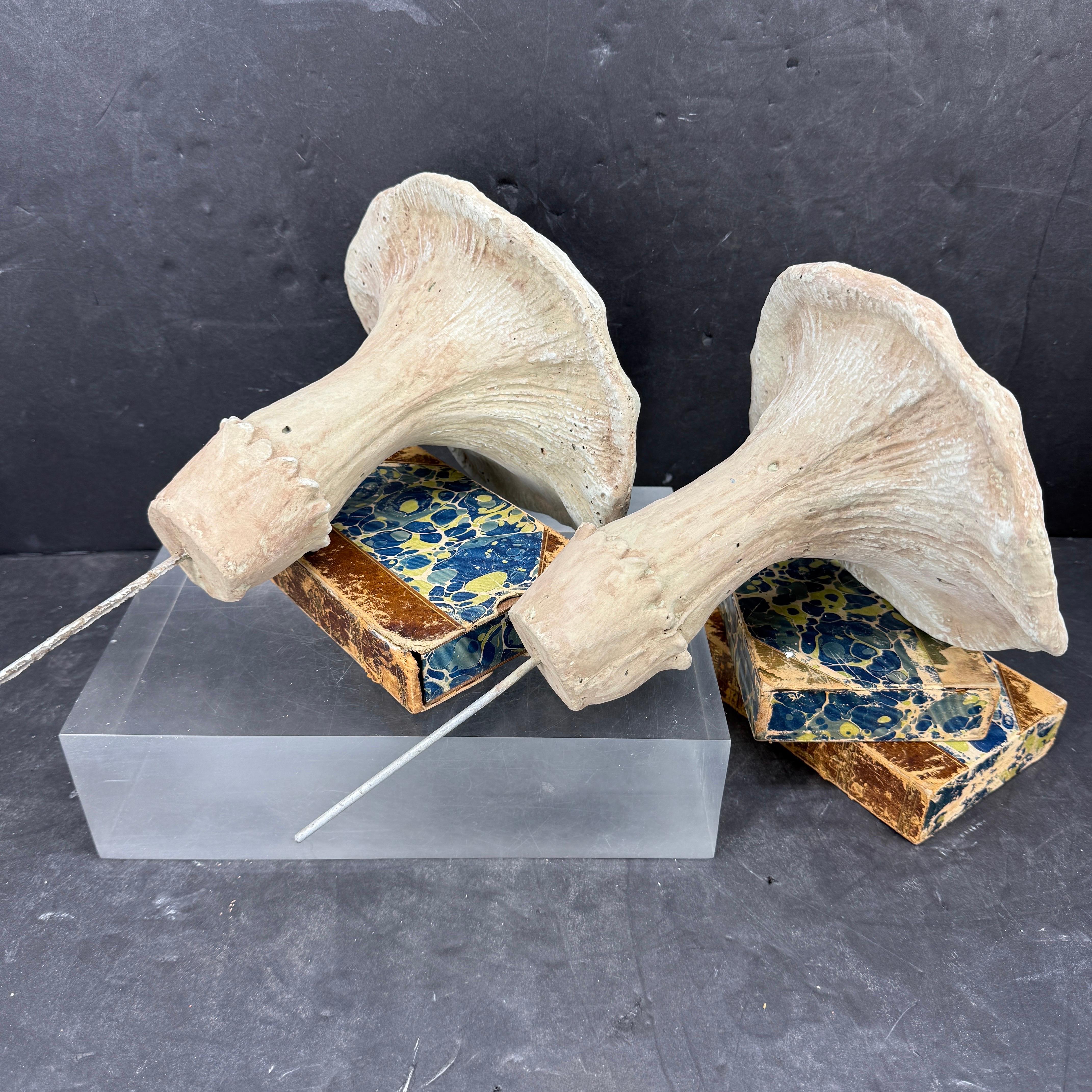 Large Vintage Pair of Two Concrete Chanterelles Mushroom Garden Ornaments For Sale 9