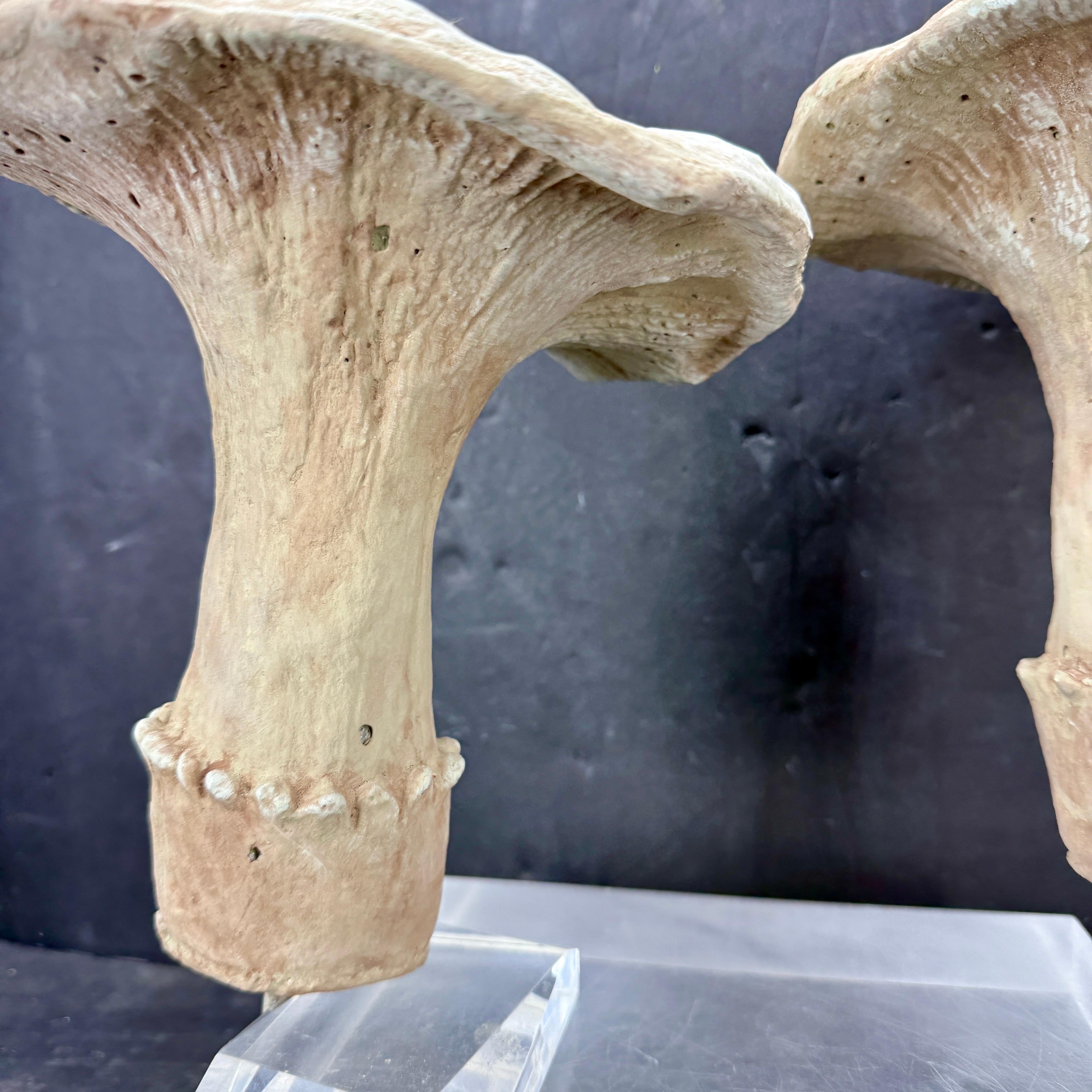 Large Vintage Pair of Two Concrete Chanterelles Mushroom Garden Ornaments For Sale 10
