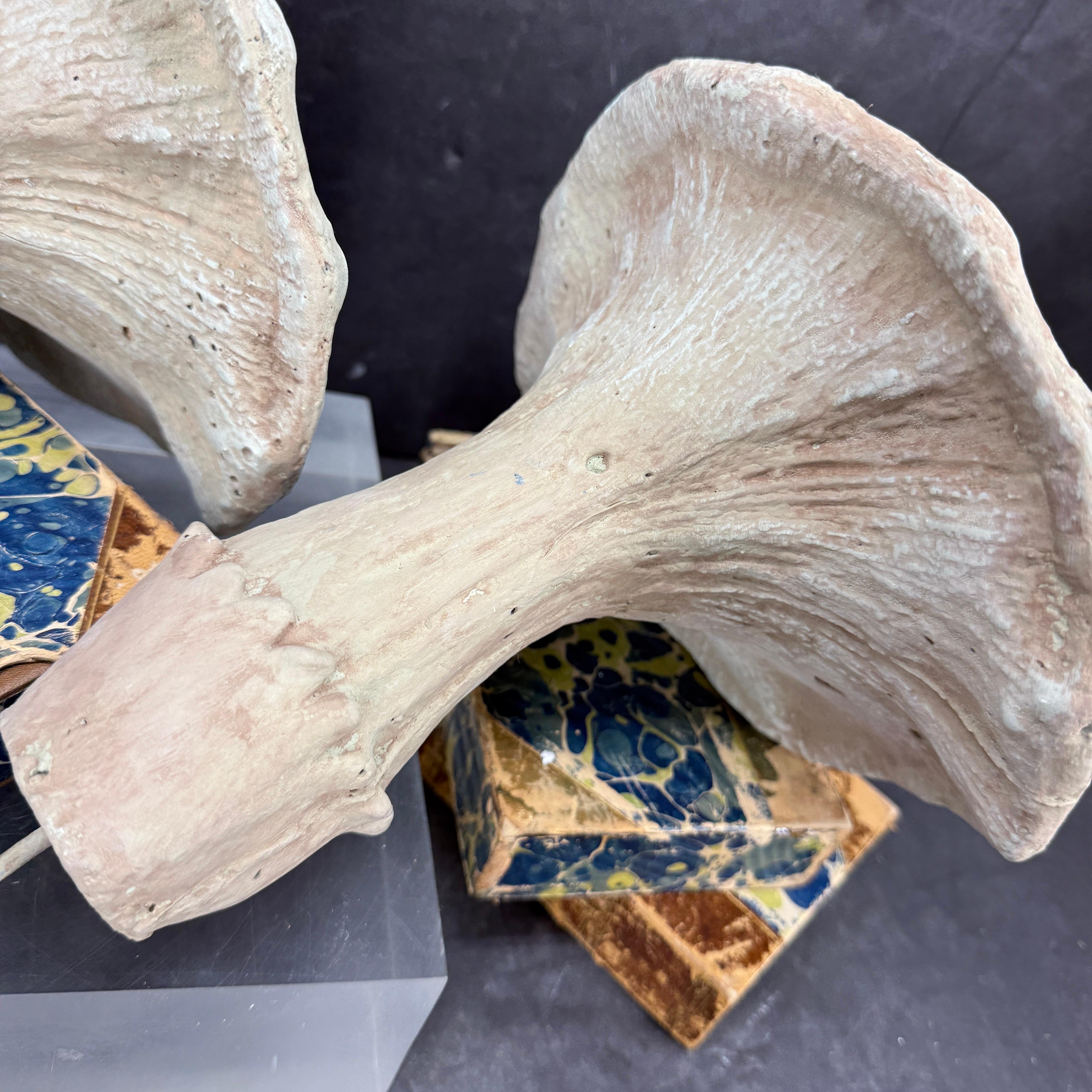 Large Vintage Pair of Two Concrete Chanterelles Mushroom Garden Ornaments For Sale 11