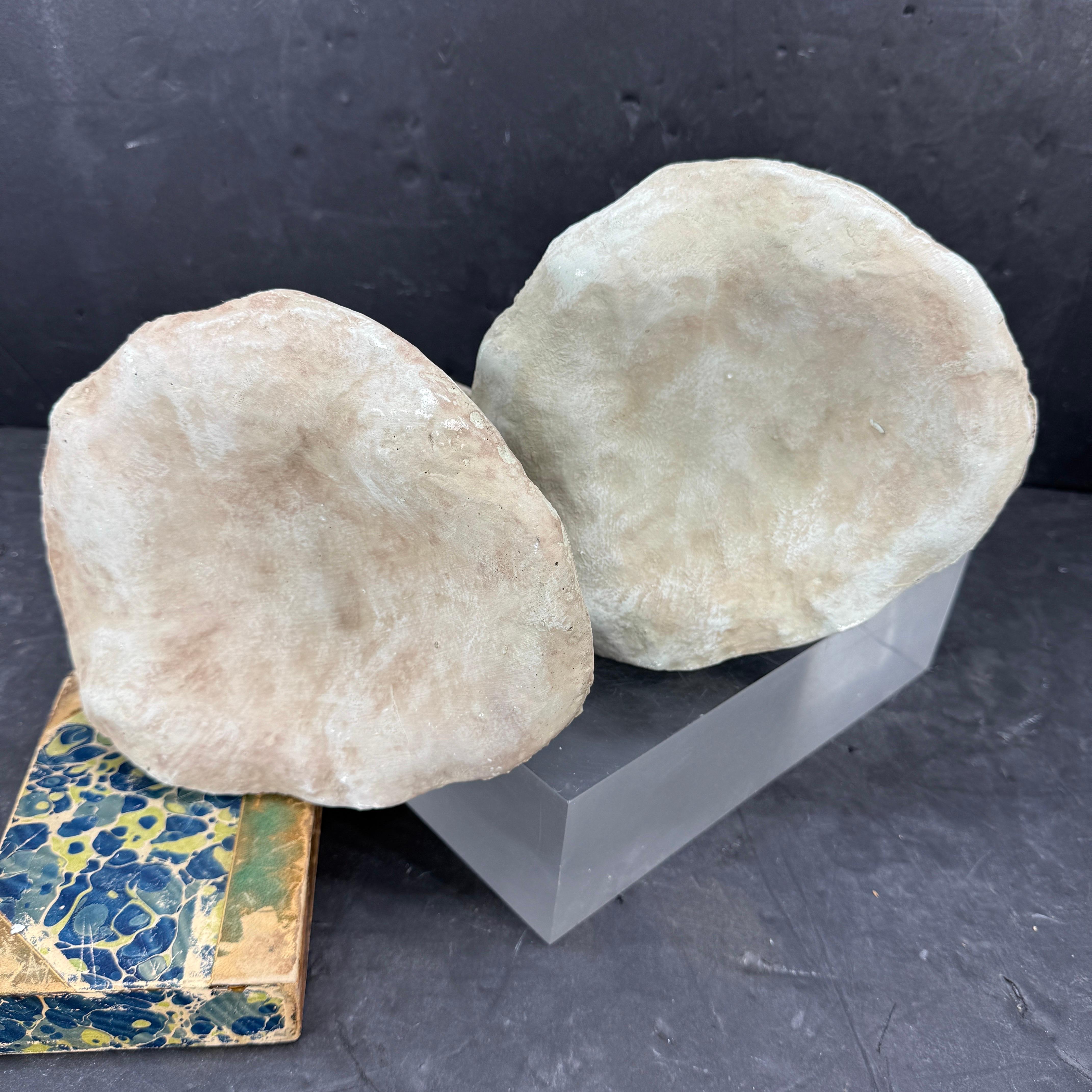 Large Vintage Pair of Two Concrete Chanterelles Mushroom Garden Ornaments For Sale 12