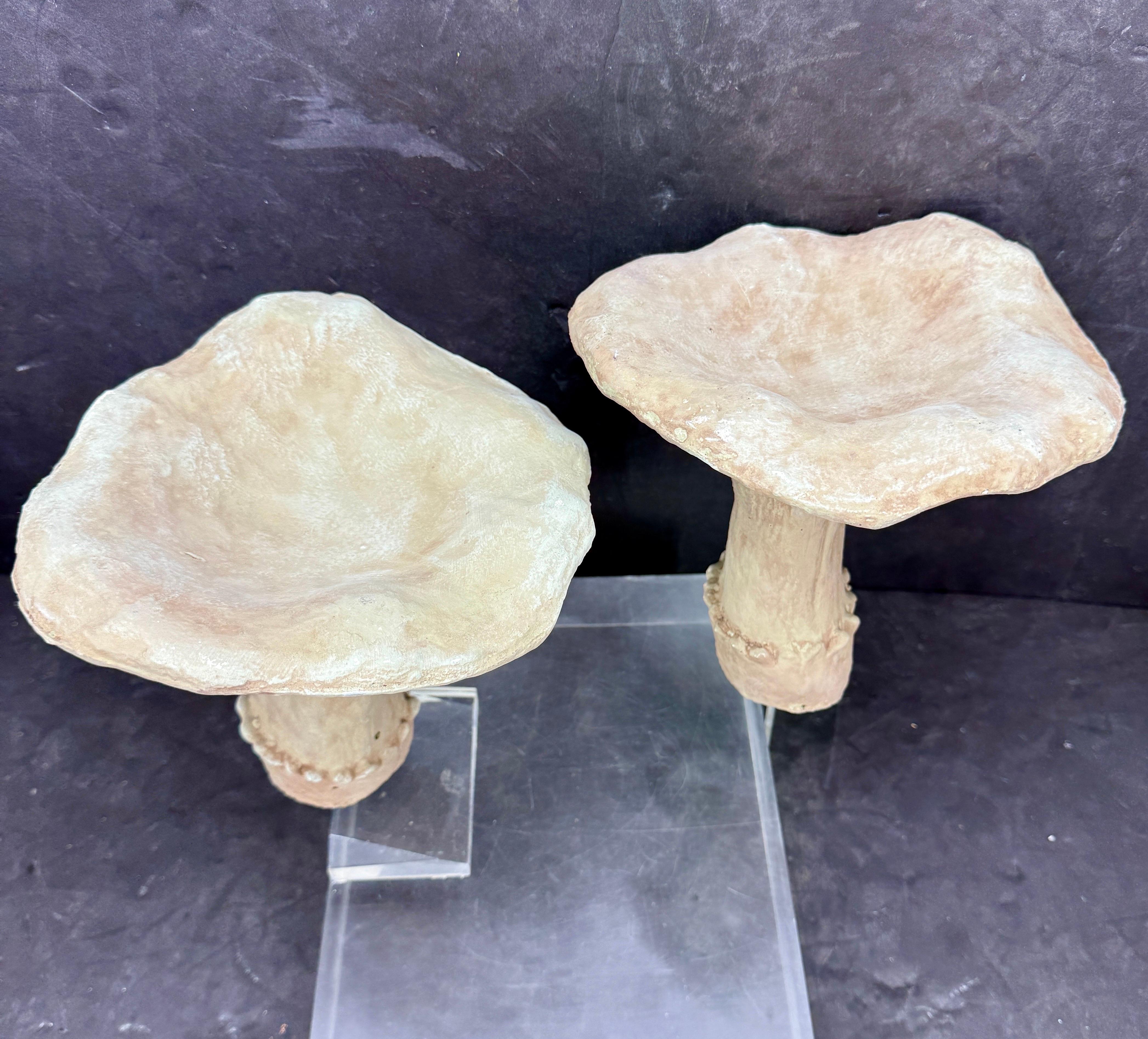 Impressive set of 2 oversized concrete mushrooms with an aged patina. These decorative mushrooms could be used indoors or out. We see them grouped sitting on a coffee table atop books or in an outdoor garden. Certainly, a delightful way to add a