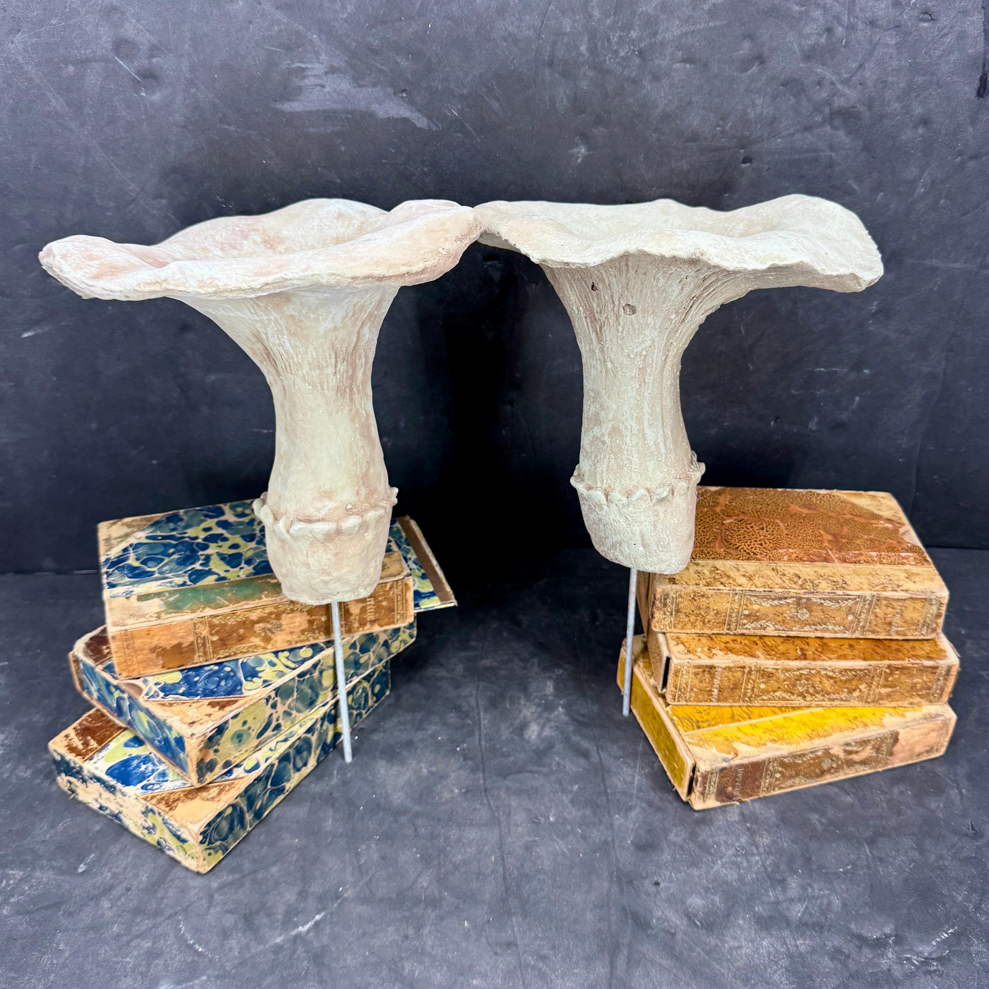 Organic Modern Large Vintage Pair of Two Concrete Chanterelles Mushroom Garden Ornaments For Sale