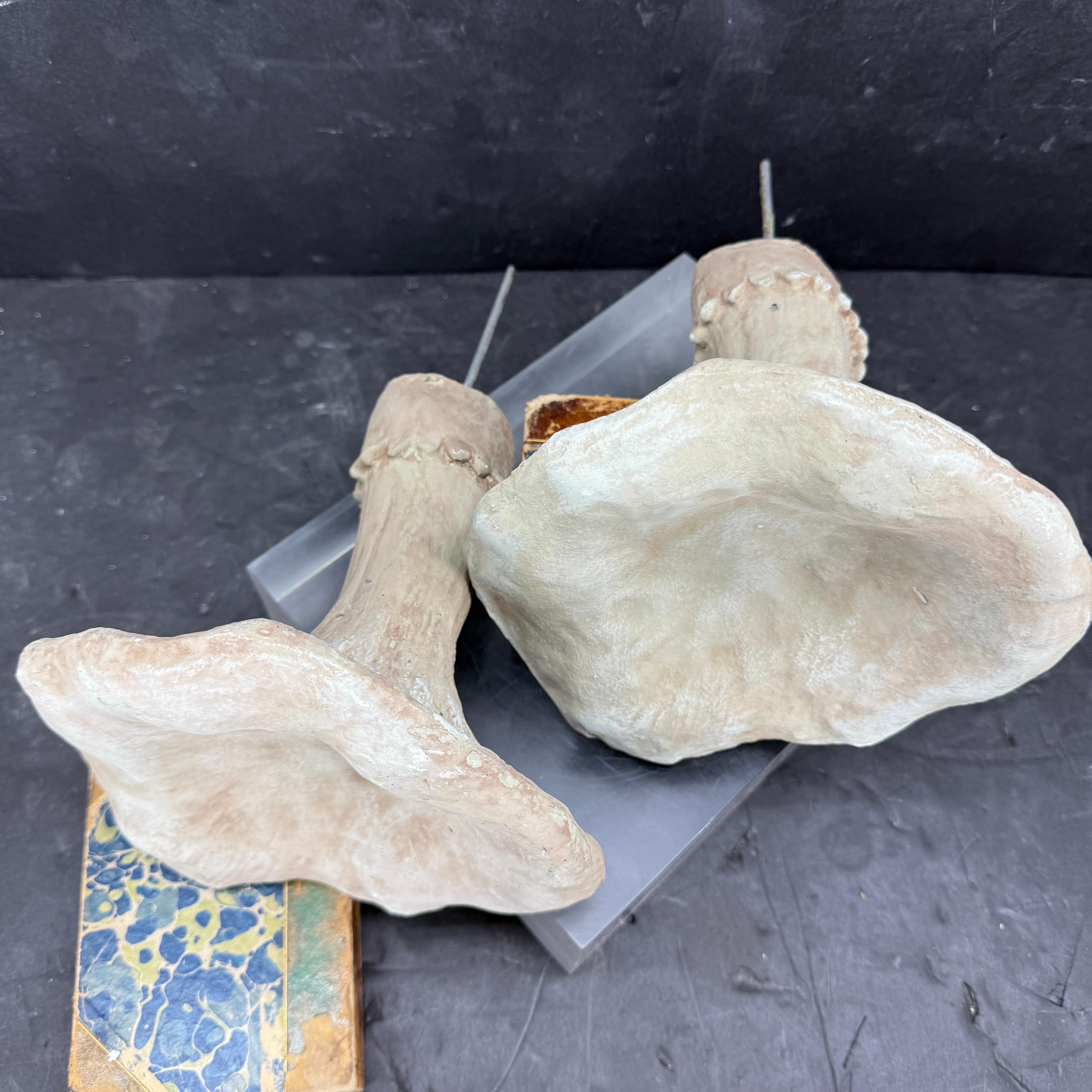 20th Century Large Vintage Pair of Two Concrete Chanterelles Mushroom Garden Ornaments For Sale