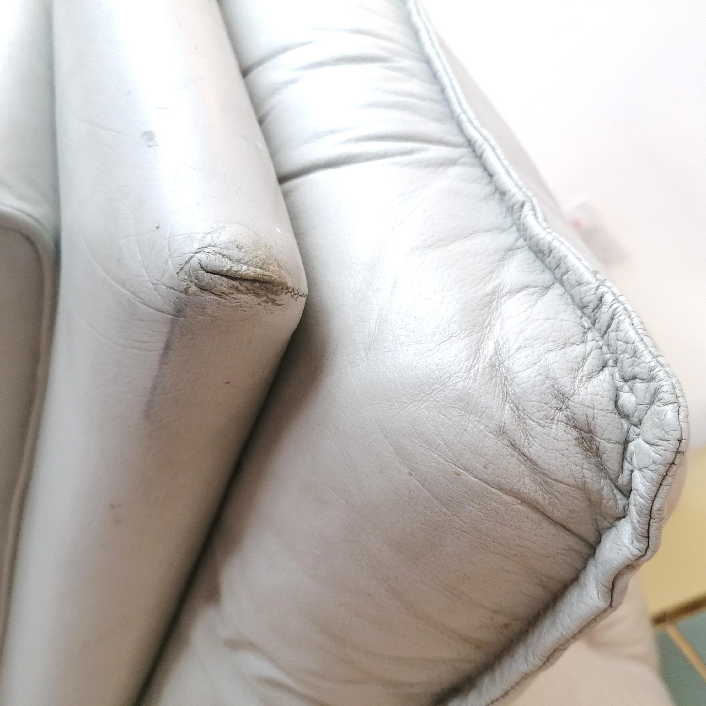 Large Vintage Pale Grey Leather Armchair by Nicoletti Salotti, Italy, 1980s 4