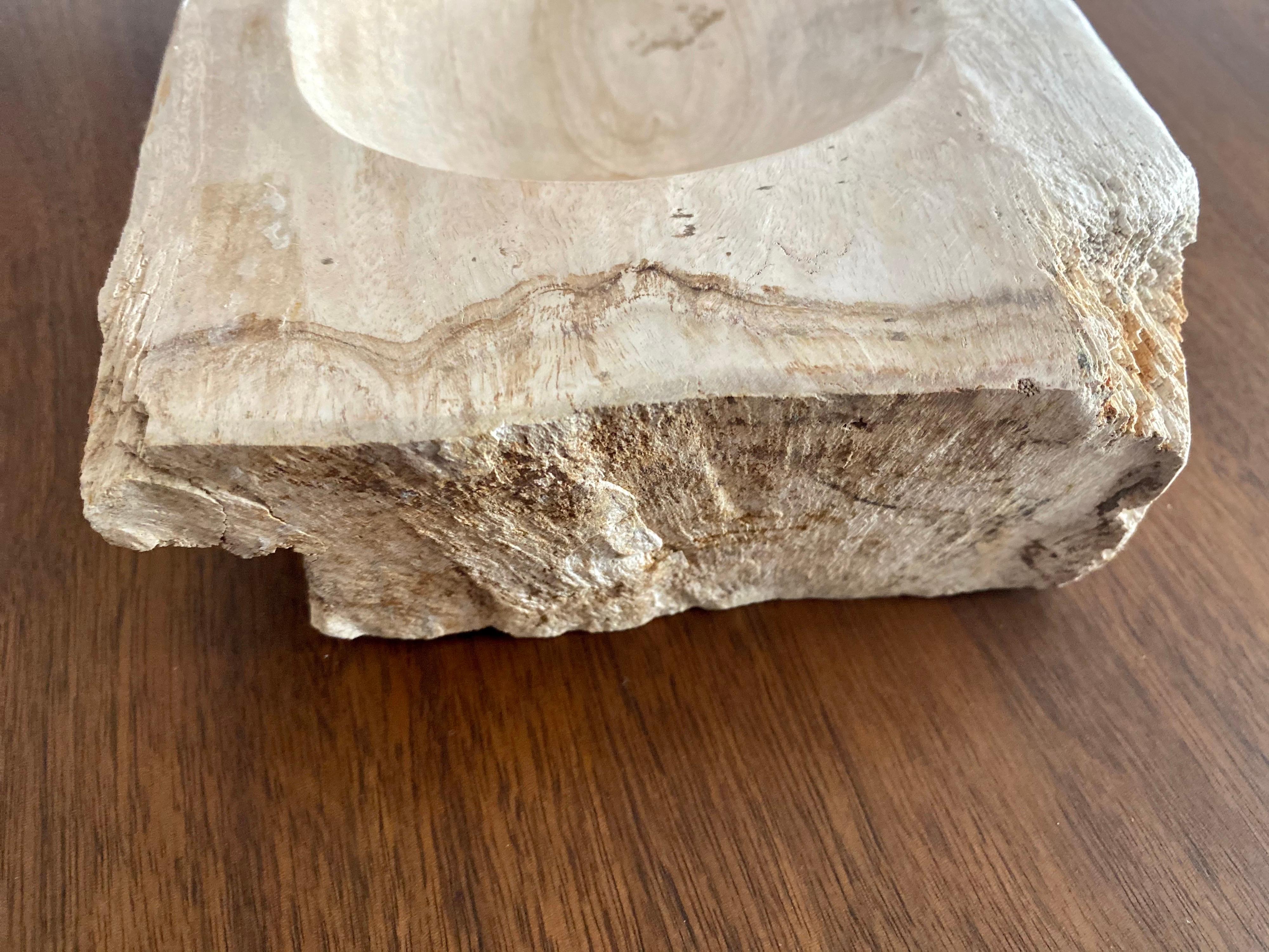 Large Vintage Petrified Wood Ashtray  In Good Condition For Sale In San Antonio, TX