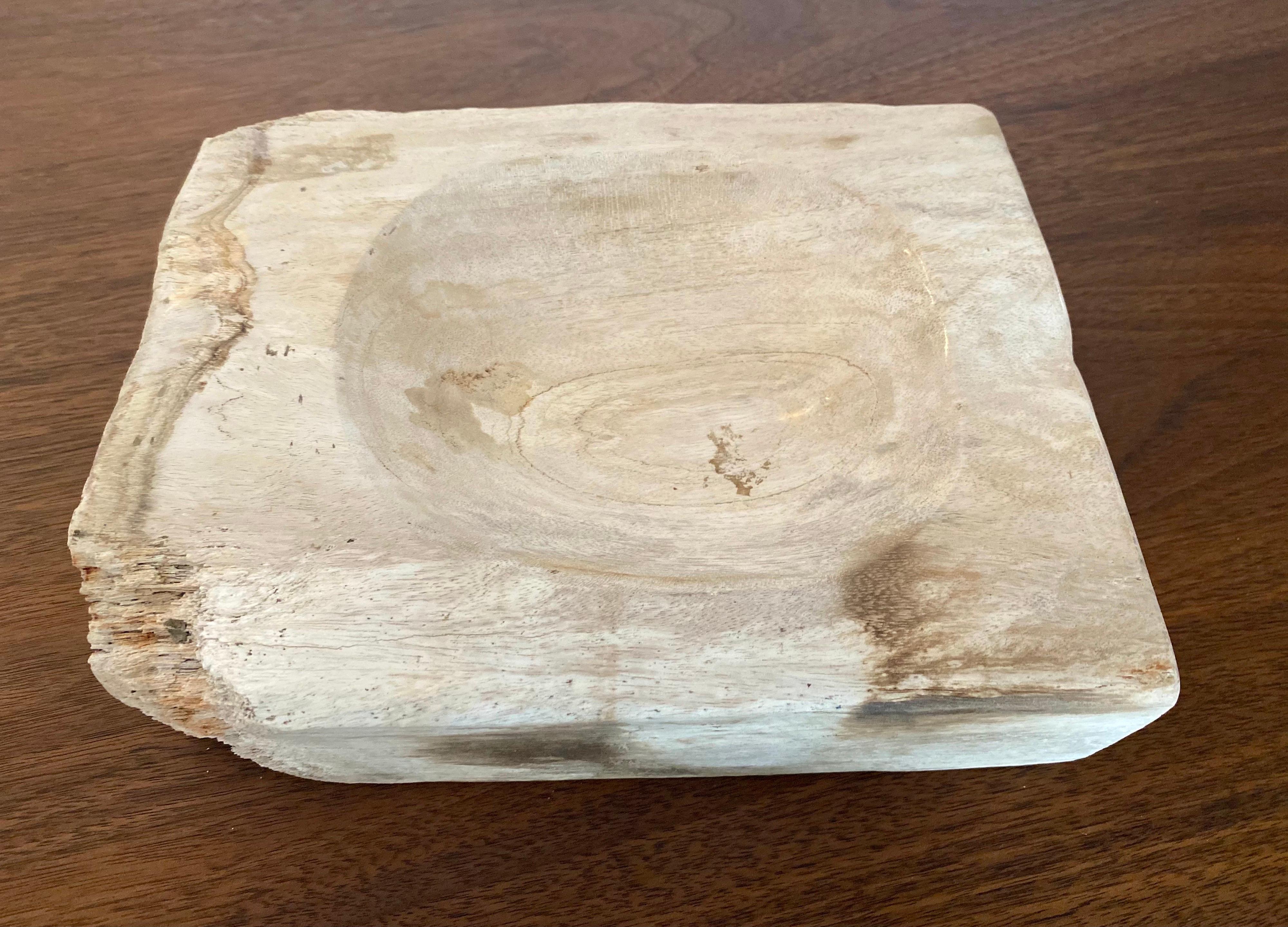 20th Century Large Vintage Petrified Wood Ashtray  For Sale