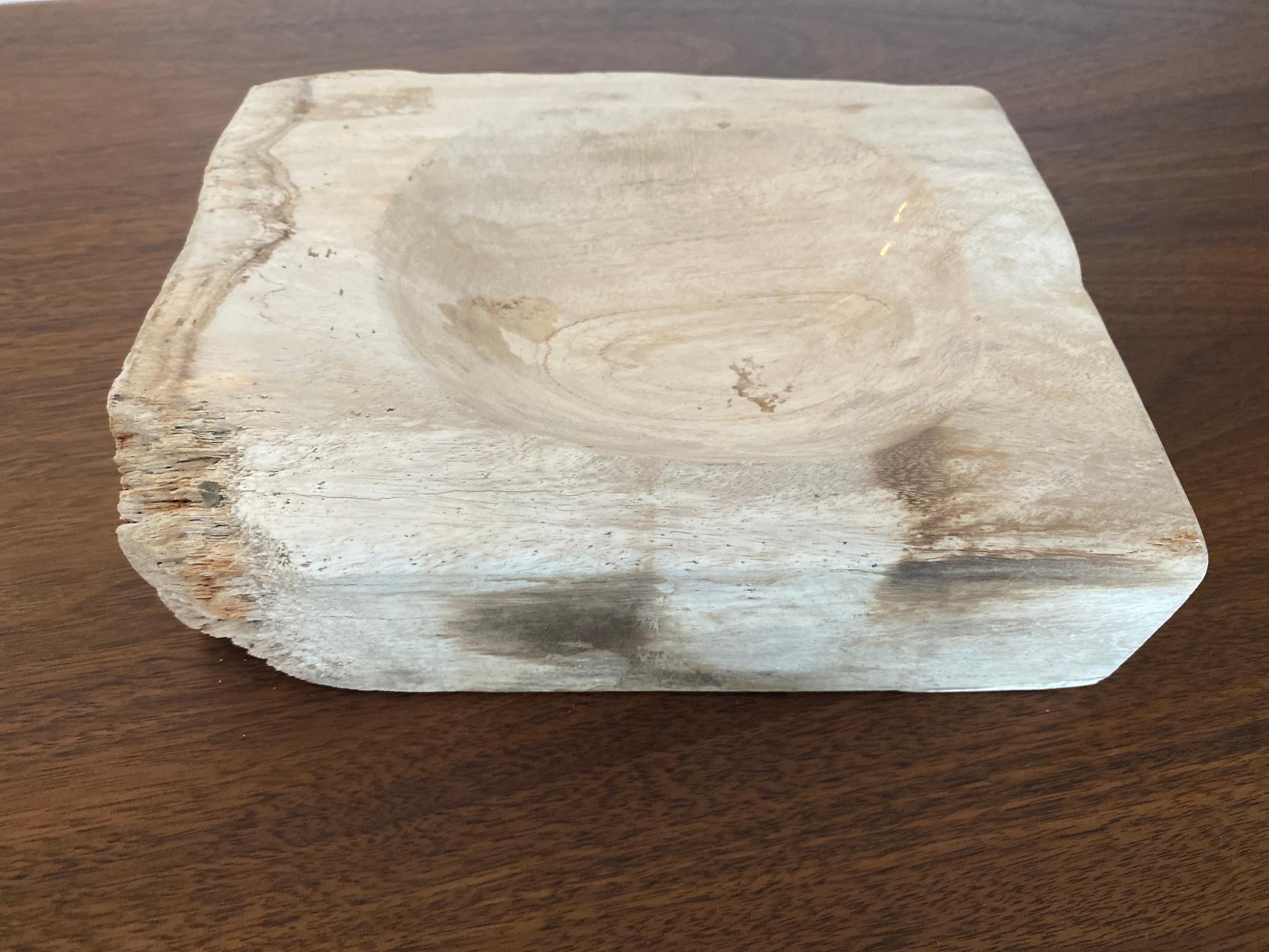 Large Vintage Petrified Wood Ashtray  For Sale 1