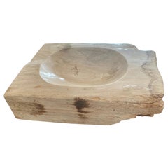 Large Vintage Petrified Wood Ashtray
