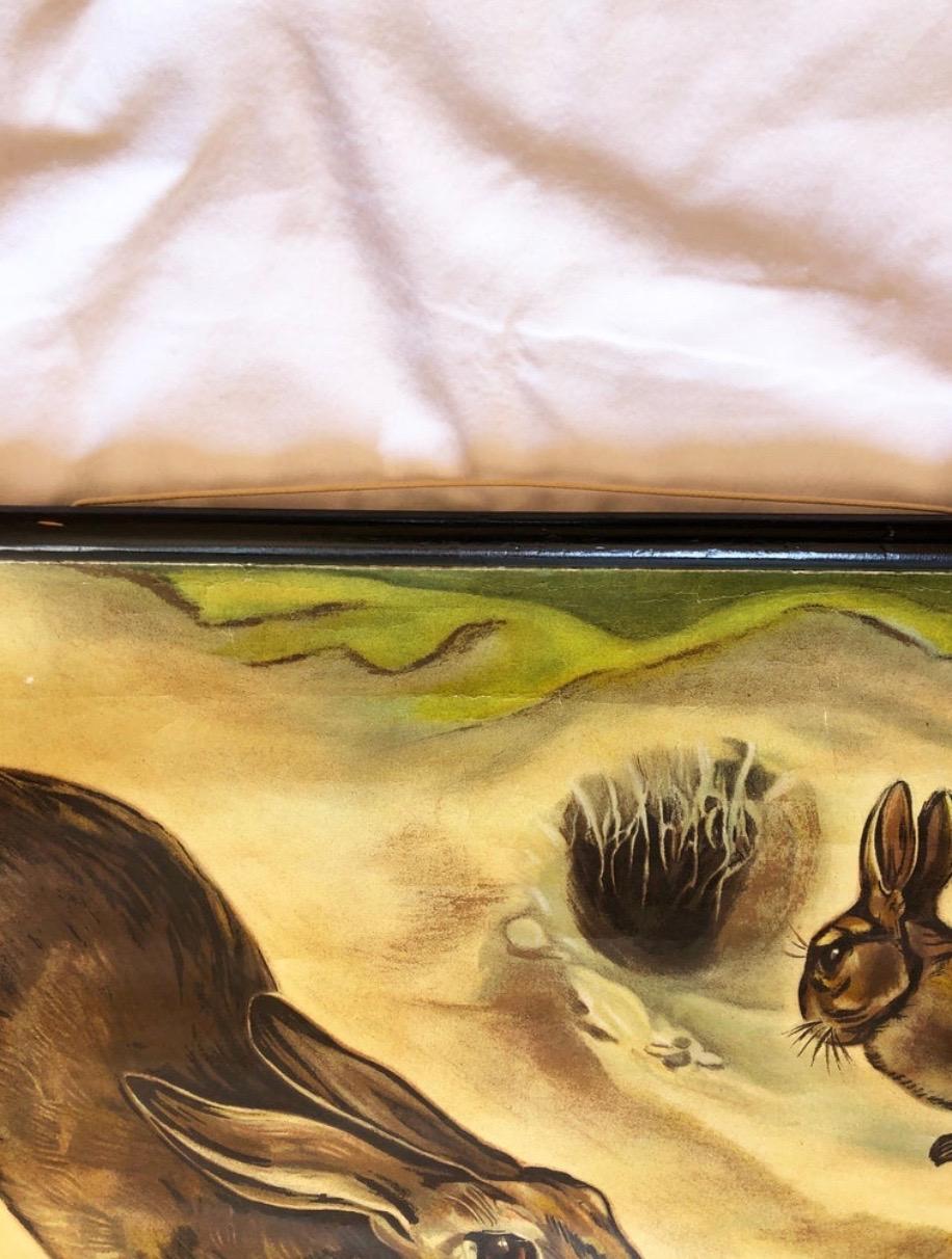 20ième siècle Grande affiche murale de l'école d'images d'animaux de lapin des années 1960, Allemagne en vente