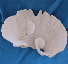 Large Vintage Reef Coral Natural Specimen, Real.  (ships in USA only)