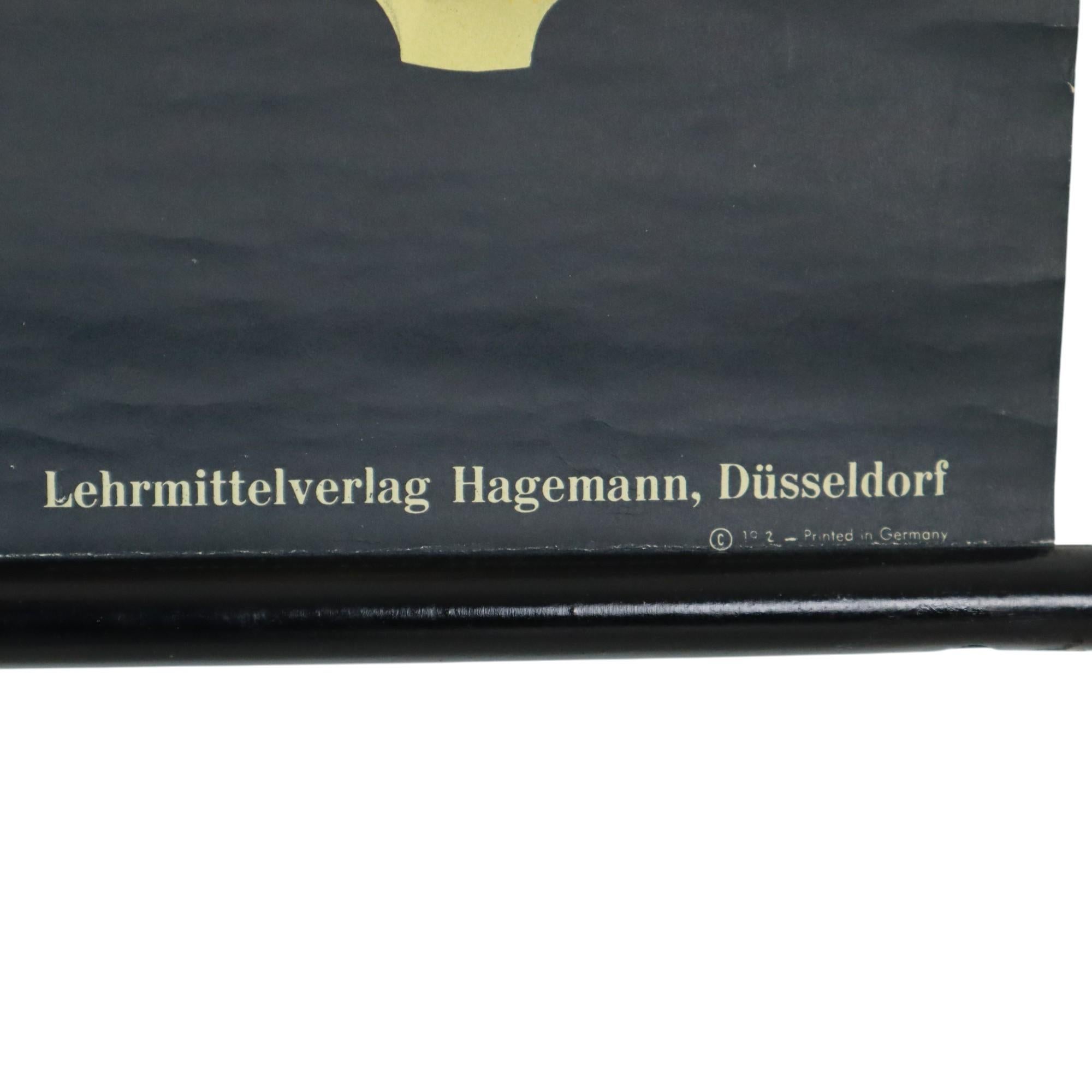 Großer Jahrgang Schule Chart Mutterkorn Form Jung Koch Quentell im Angebot 3