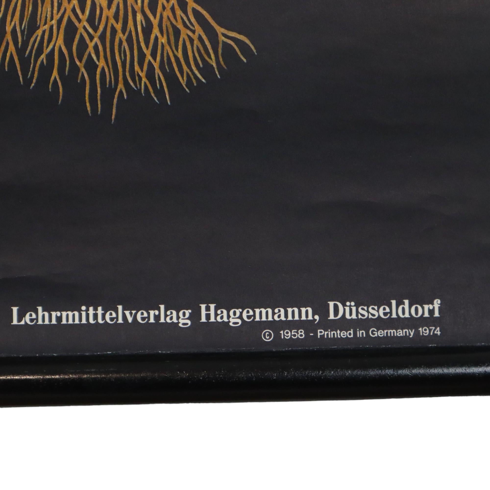 Große Vintage-Schuletafel Tulpenblumen Jung Koch Quentell 117cm im Angebot 2