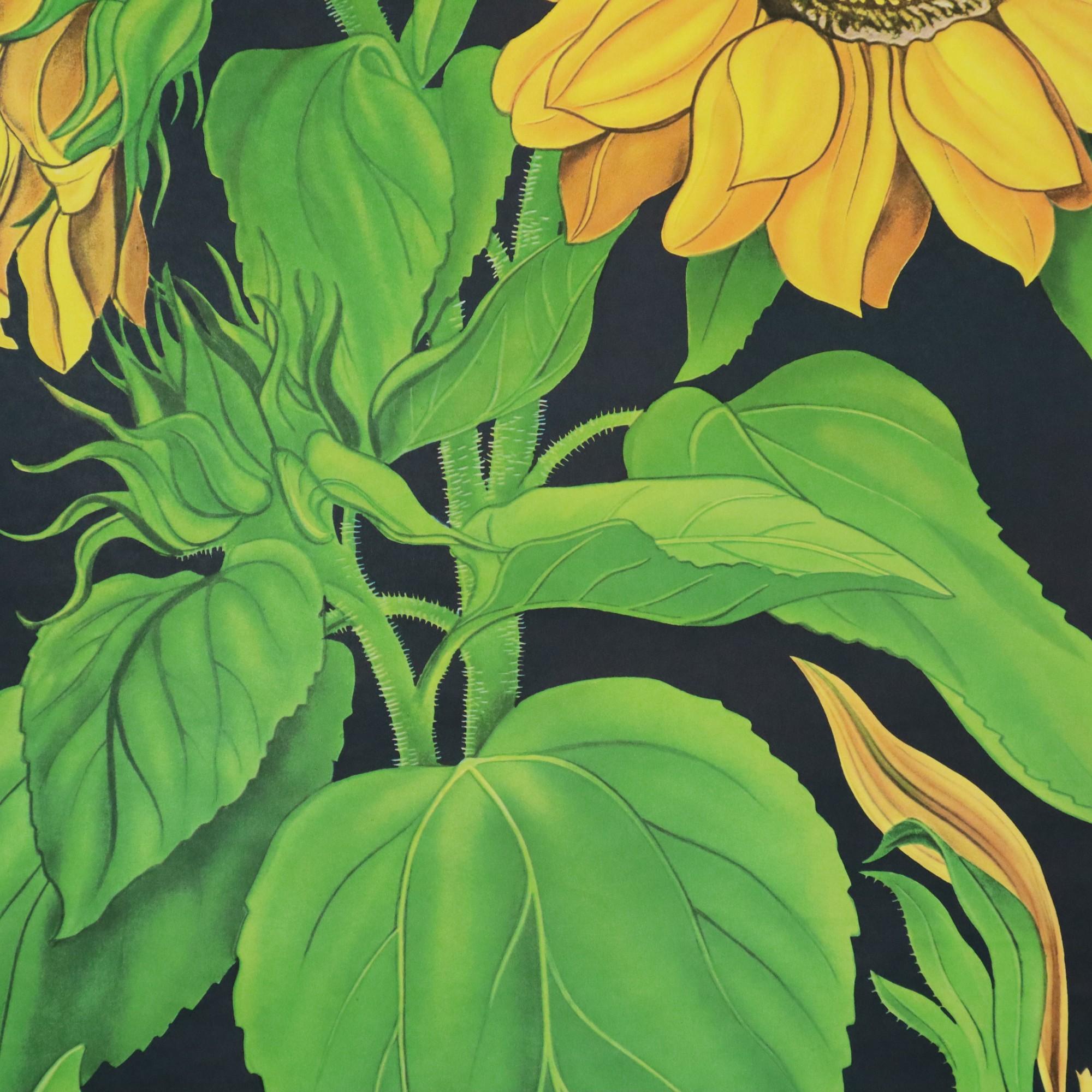Große Vintage-Schulekarte mit Sonnenblumen Jung Koch Quentell 117cm im Angebot 6