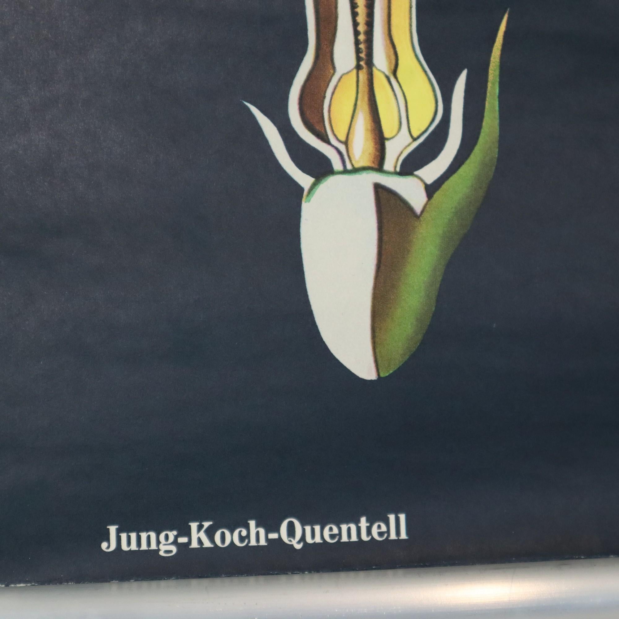 Große Vintage-Schulekarte mit Sonnenblumen Jung Koch Quentell 117cm im Angebot 2