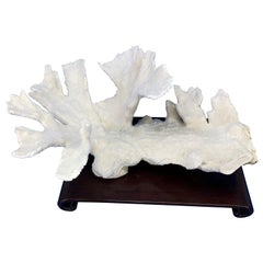 Large Vintage Stand Alone Coral Sculpture Centerpiece Chinese Hard-Wood Stand