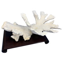 Gran centro de mesa vintage de escultura de coral independiente de madera dura china