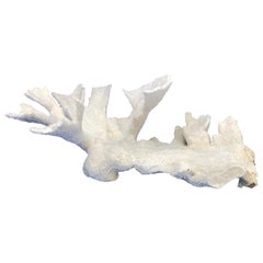 Large Vintage Stand Alone Coral Sculpture Centerpiece