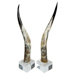 Large Vintage Steer Horns Mounted on Lucite Bases,  A Pair