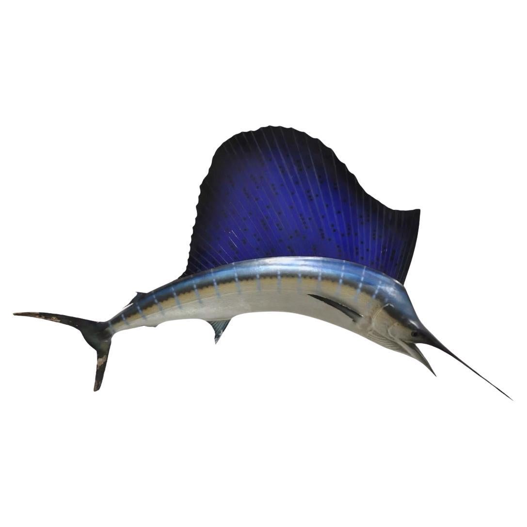 Large Vintage Taxidermy Replica Blue Marlin Sailfish 85" Wall Mount