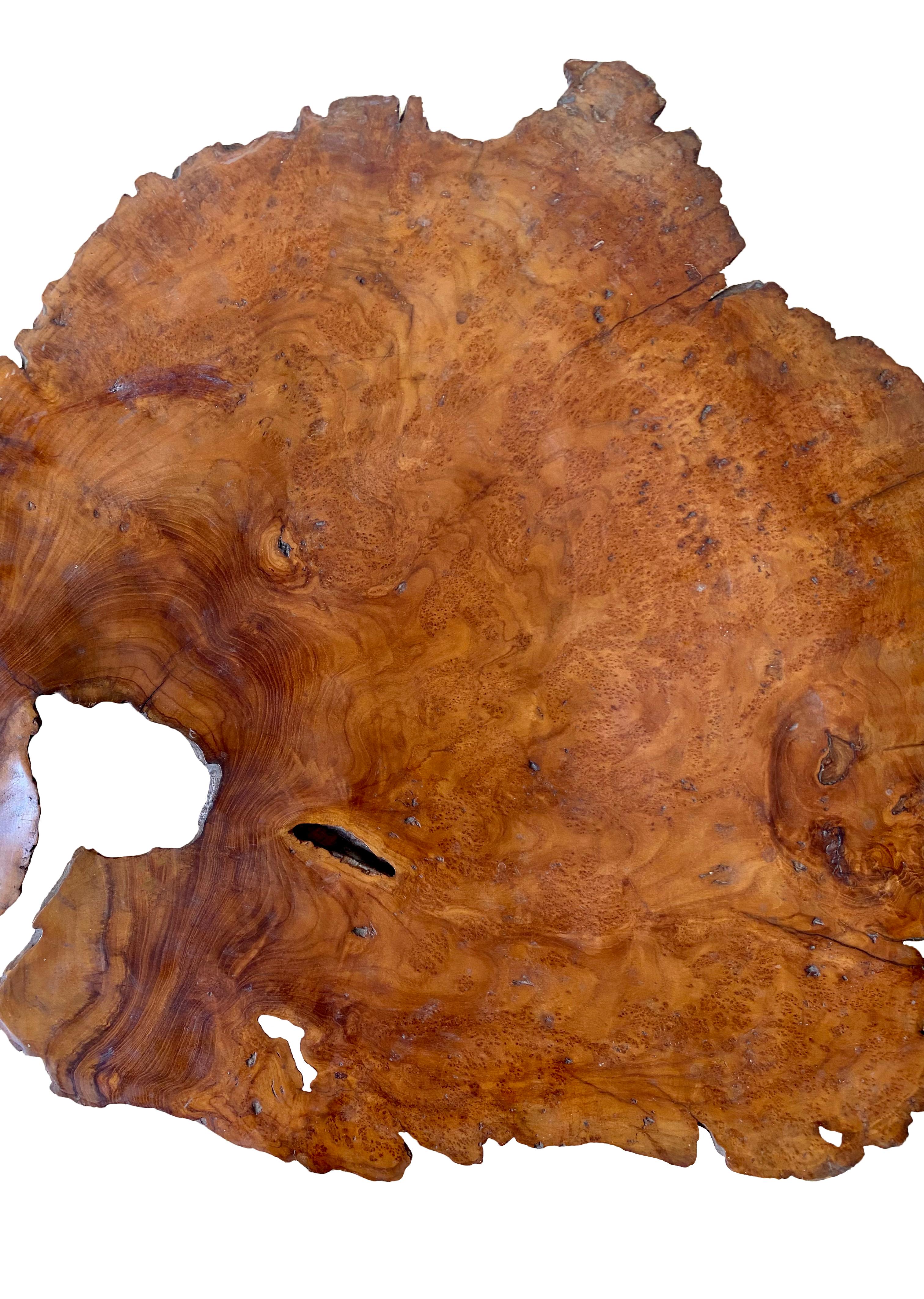 A teak burl wood bowl crafted on the island of Java, Indonesia with a shiny polished finish. The bowl was cut from a much larger slab of burl wood and maintains an incredibly organic shape that is rich in texture. 

Dimensions: Height 8cm x width