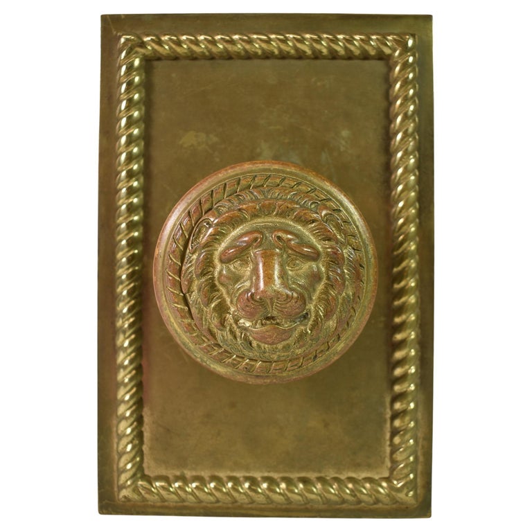 Large Vintage Victorian Cast Brass Lion Head Door Back Plates and Knobs