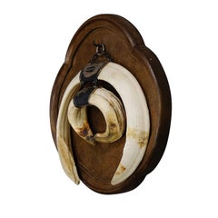 Große Vintage Wildfisch-Schreibtisch-Trophäe auf Holzplakette, Deutschland 1970er Jahre