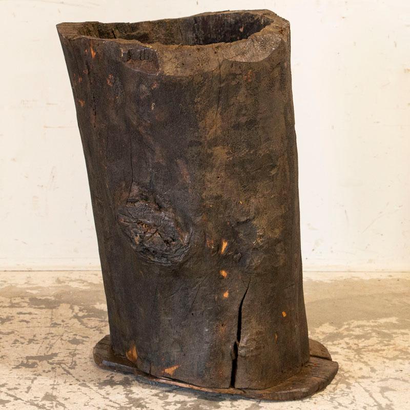 This unique wood container is made from a hollowed out tree trunk, making it a truly one of a kind piece. The organic appeal comes from the wood itself and a simple base was attached to create a container, perfect for a tall dried floral arrangement