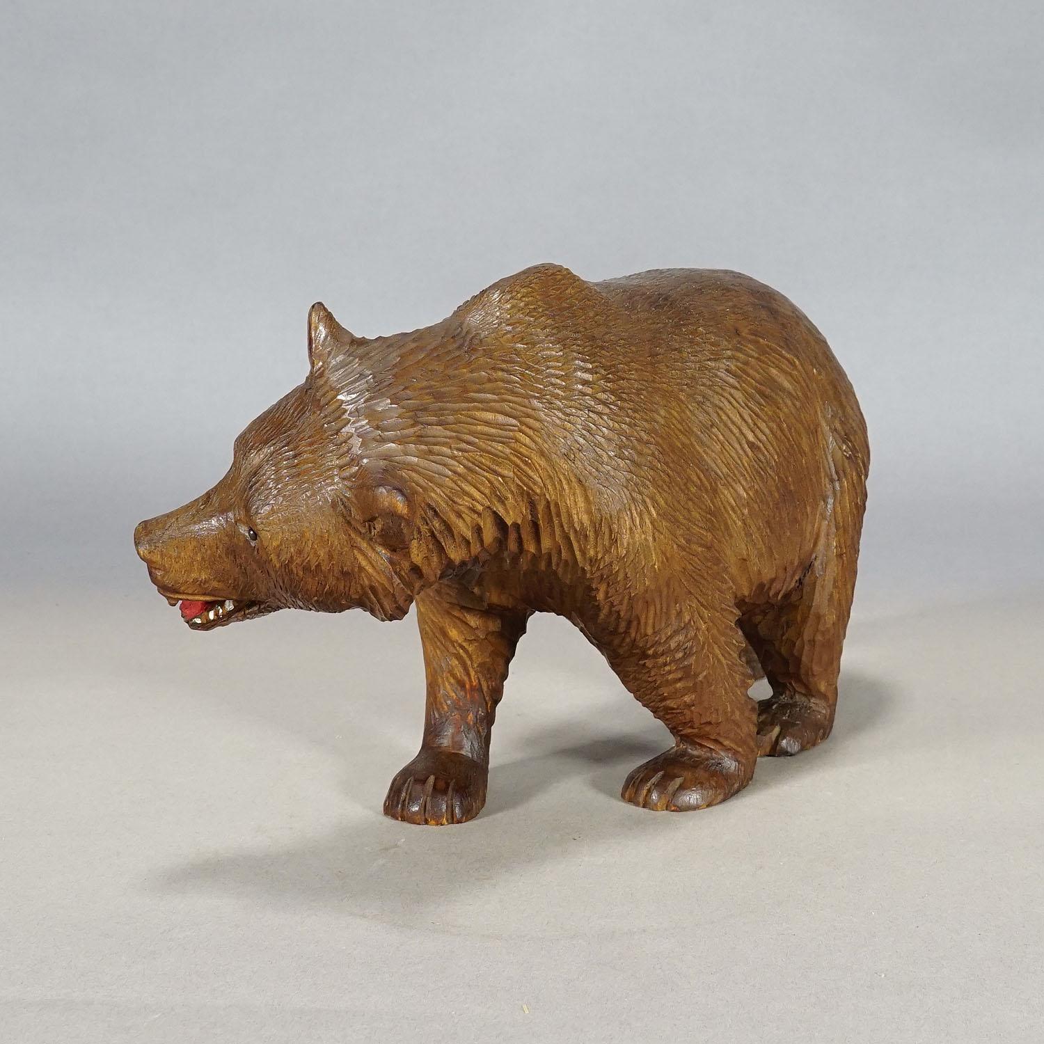 Hand-Carved Large Vintage Wooden Strolling Bear Handcarved in Brienz Ca. 1930s For Sale