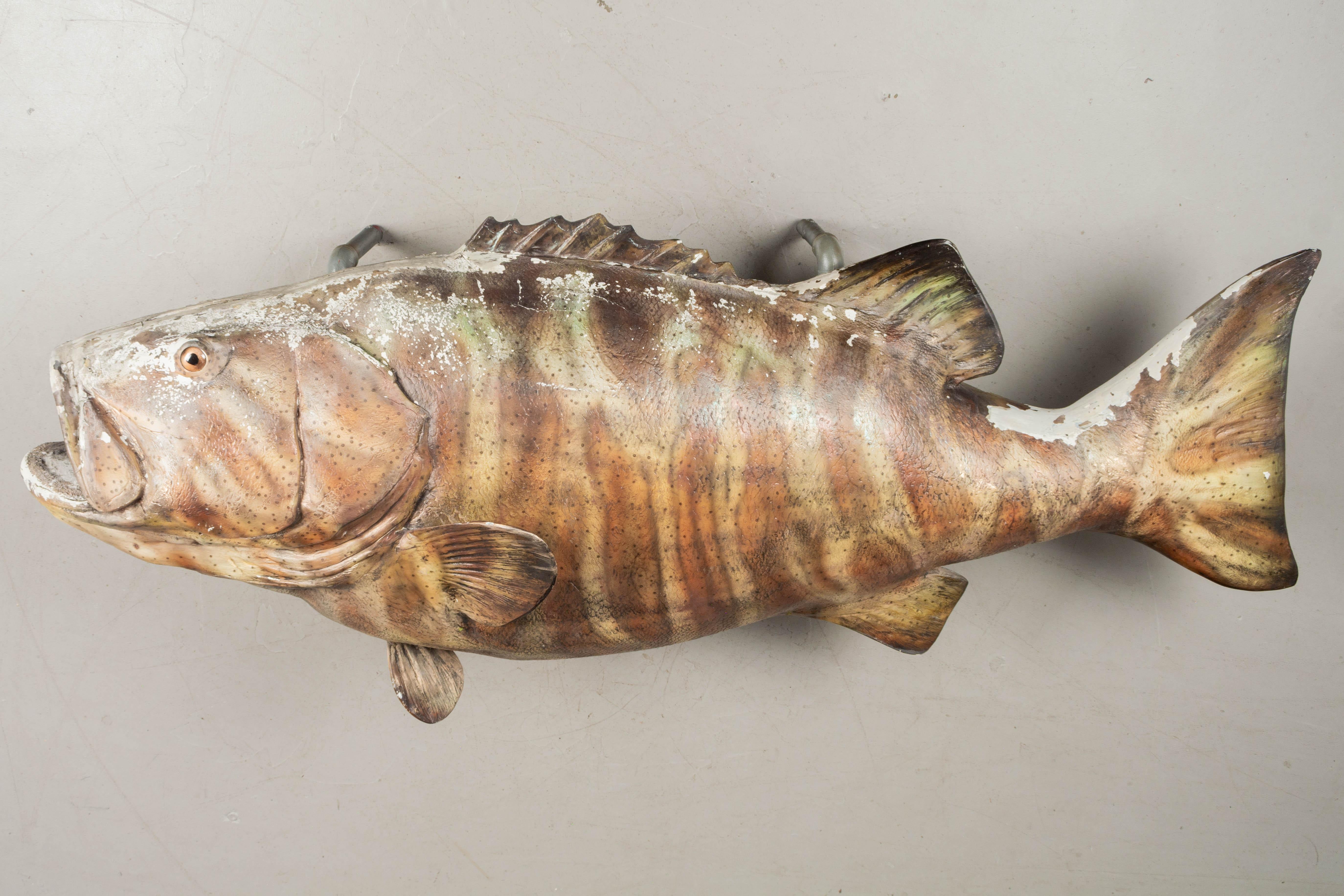 Eine große 7' lange  Skulptur eines Zackenbarschs aus bemaltem Fiberglas mit Glasauge zum Aufhängen an der Wand. Dies ist einer von zwei identischen Fischen, die zu einem doppelseitigen Außenschild eines Restaurants in Florida gehörten. Vier Rohre