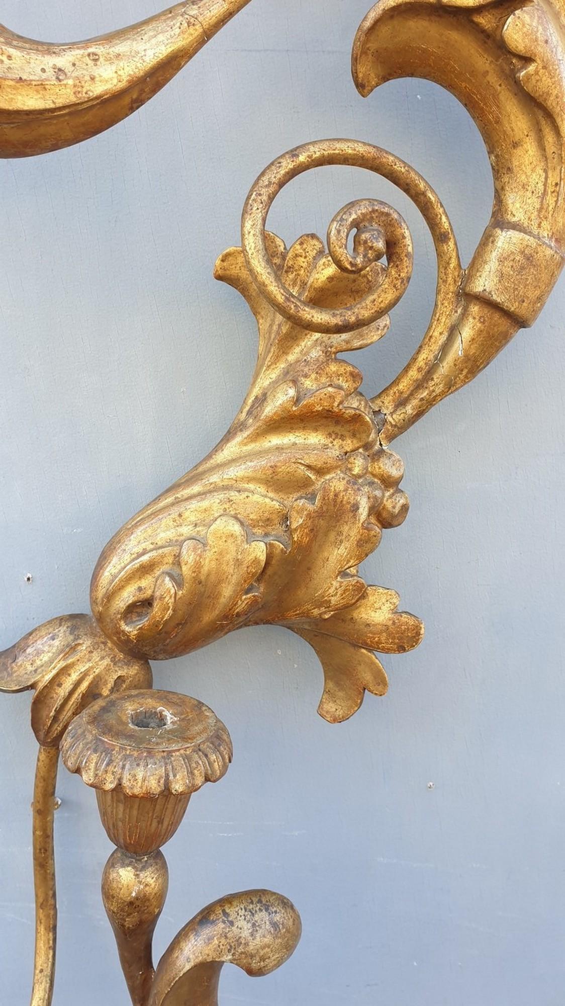 Louis XIV Large Wall Sconce in Carved Golden Wood, Tuscany Xixth Century For Sale