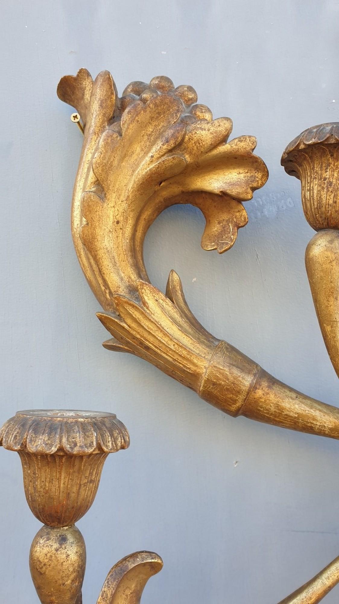 Large Wall Sconce in Carved Golden Wood, Tuscany Xixth Century In Good Condition For Sale In MARSEILLE, FR