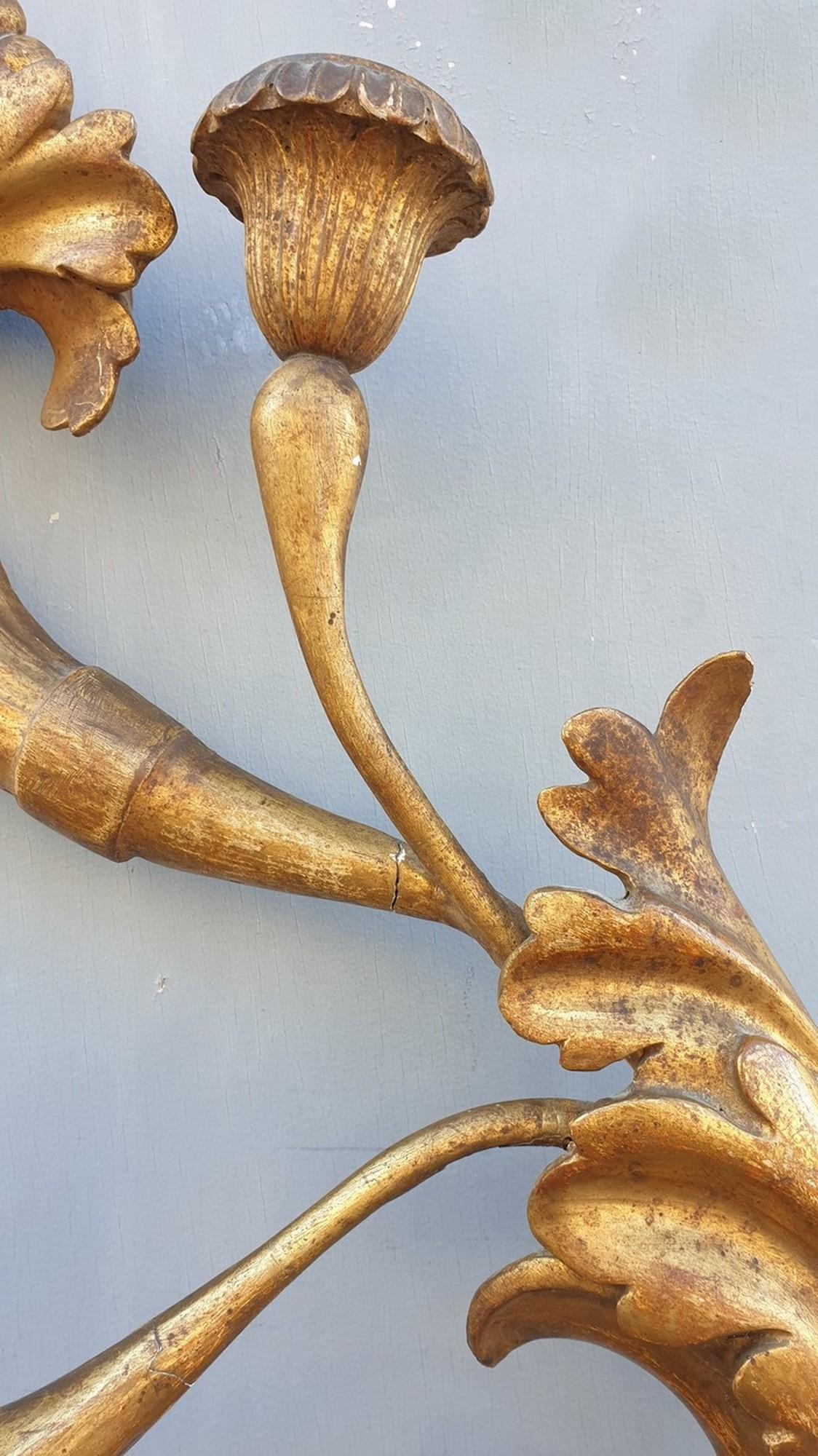 XIXe siècle Grande applique murale en bois doré sculpté, Toscane, vingtième siècle en vente