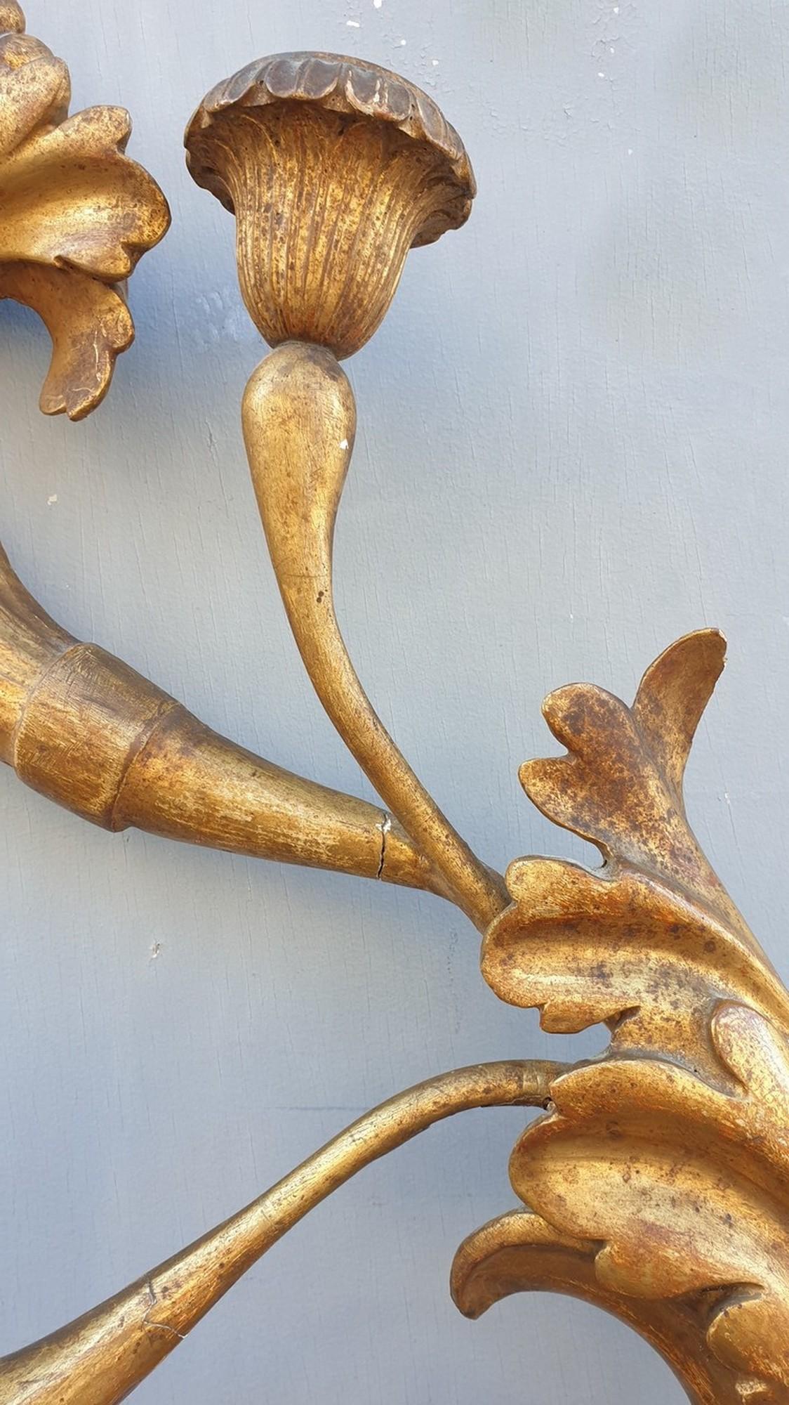 19th Century Large Wall Sconce in Carved Golden Wood, Tuscany Xixth Century For Sale