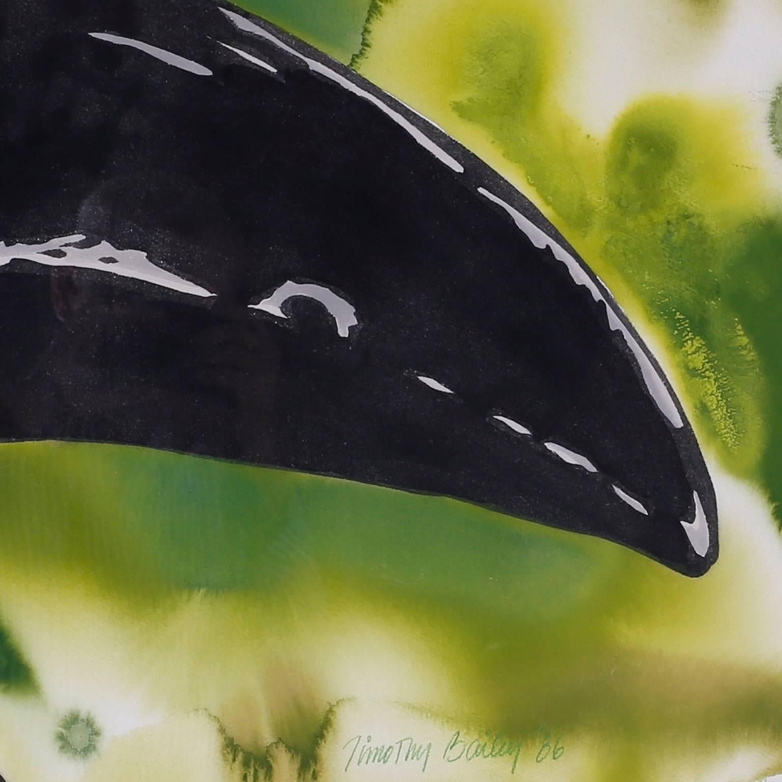 toucan watercolor painting