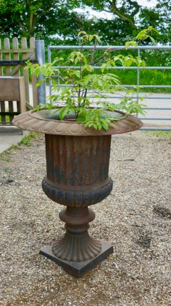 Large Weathered Cast Iron Garden Urn