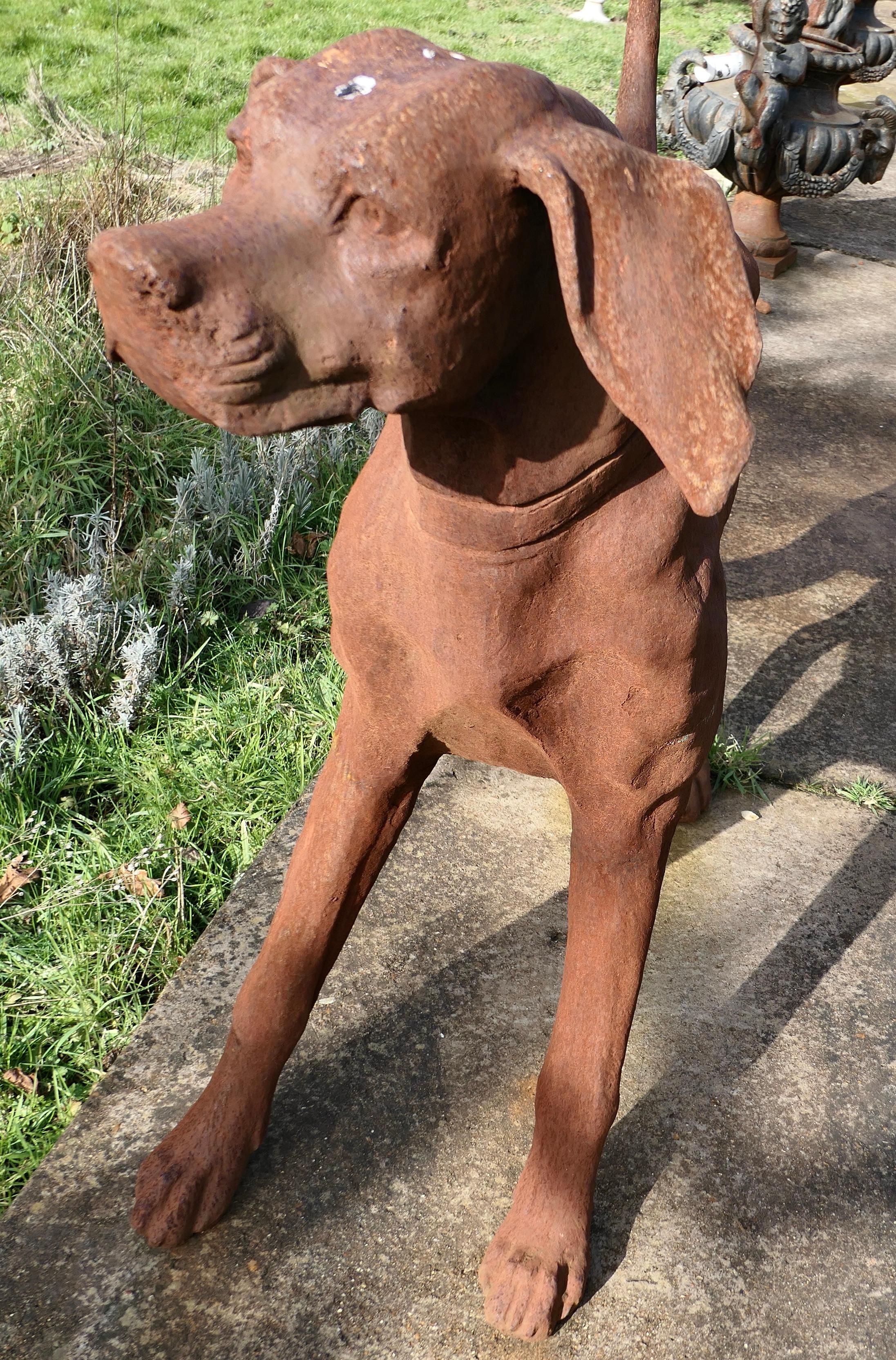Country Large Weathered Cast Iron Standing Statue of a Hunting Dog  A very handsome Chap For Sale