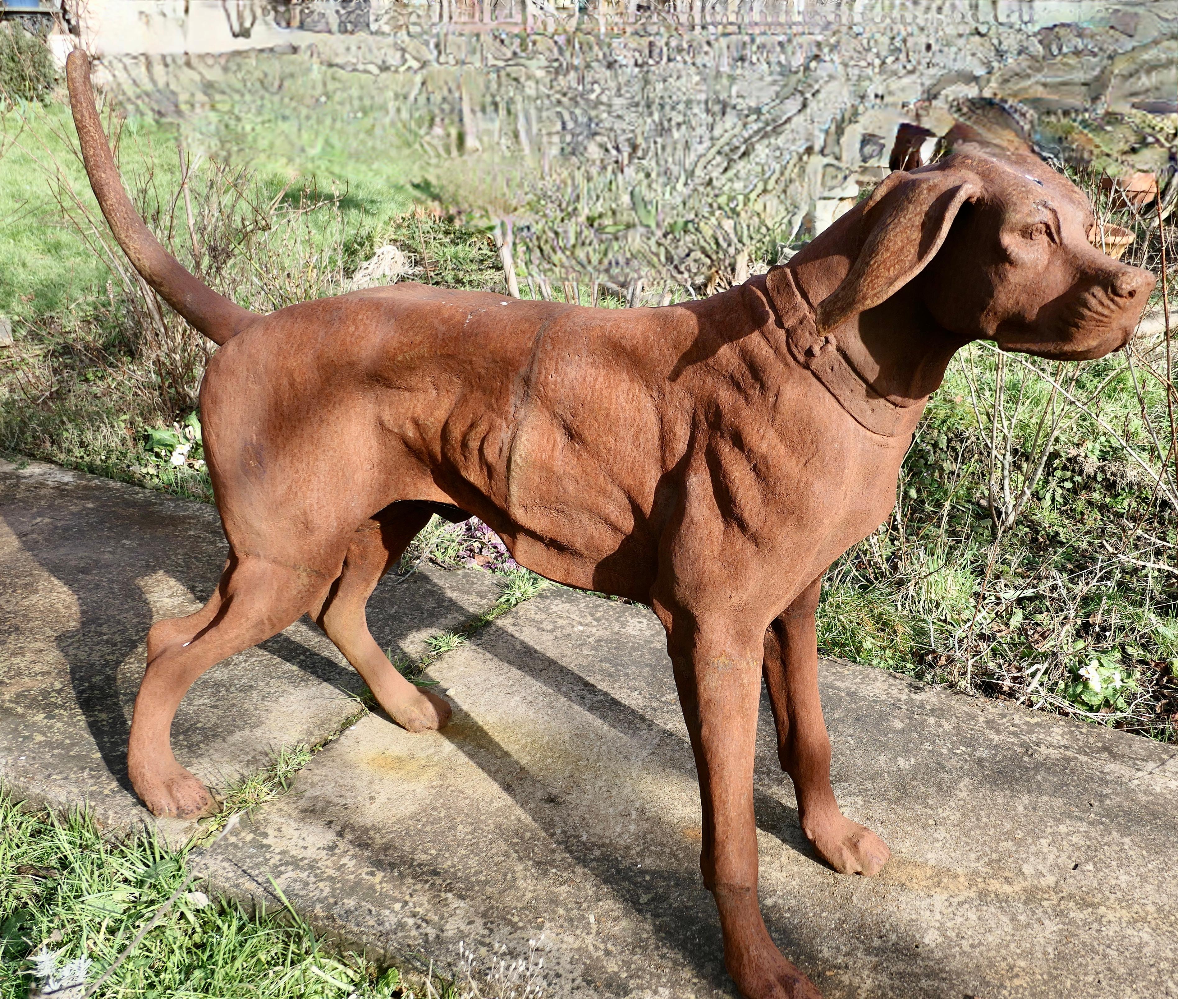 Mid-20th Century Large Weathered Cast Iron Standing Statue of a Hunting Dog  A very handsome Chap For Sale