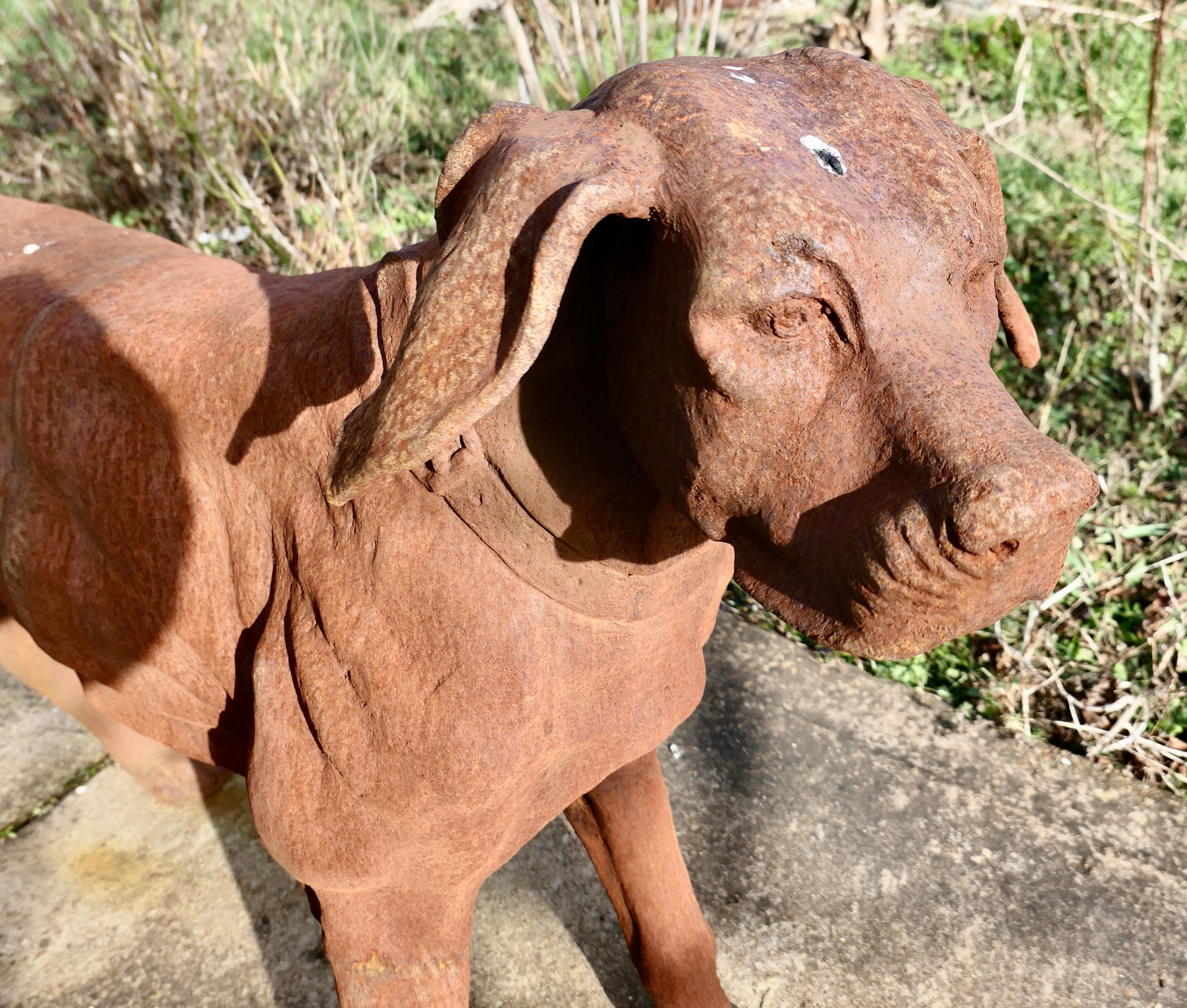Large Weathered Cast Iron Standing Statue of a Hunting Dog  A very handsome Chap For Sale 1