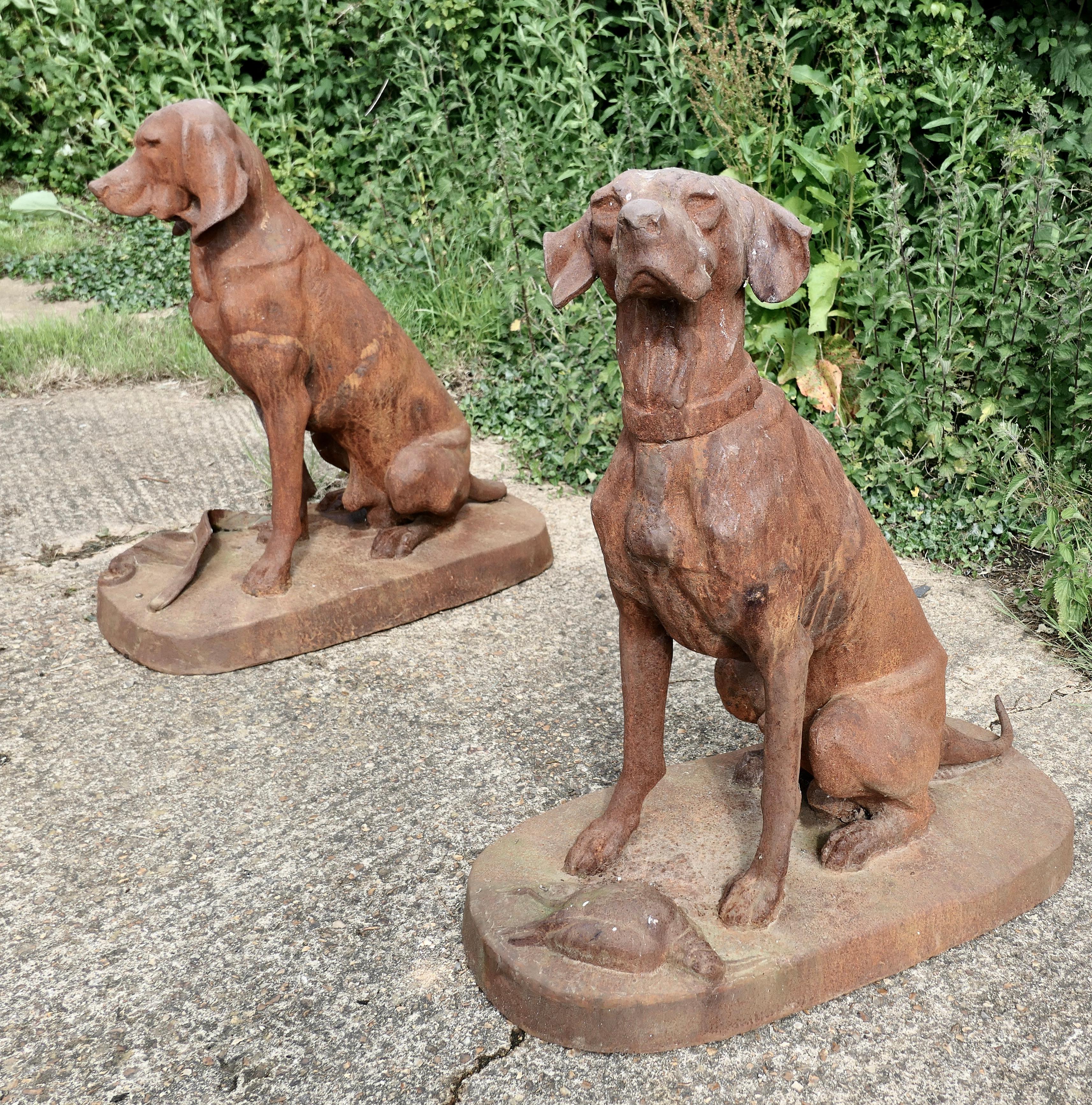 Large weathered cast iron statue of a retriever hunting dog.

A very handsome Chap, he is sitting on a deep plinth he is fully 3 dimensional and looks good from all sides.
Our faithful hound is sitting waiting for the attention of his master with