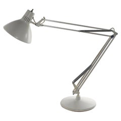 Large White on White Anglepoise Architects Desk Lamp