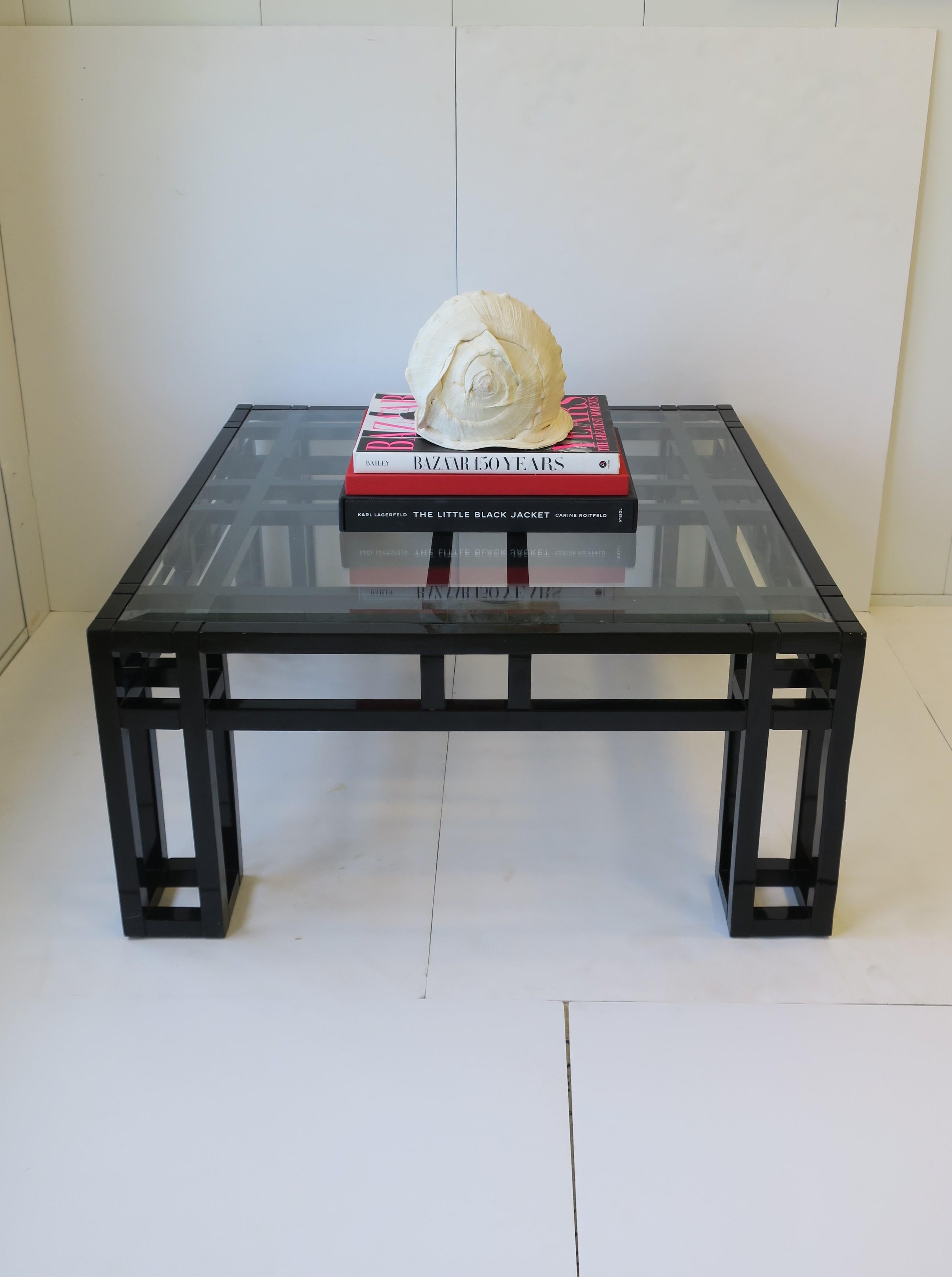 white conch shell