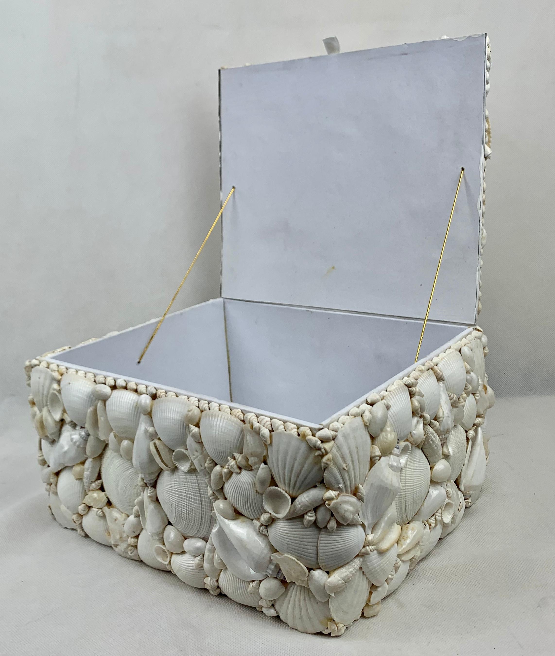 Unknown Large Natural White Shell Encrusted Hinged Box