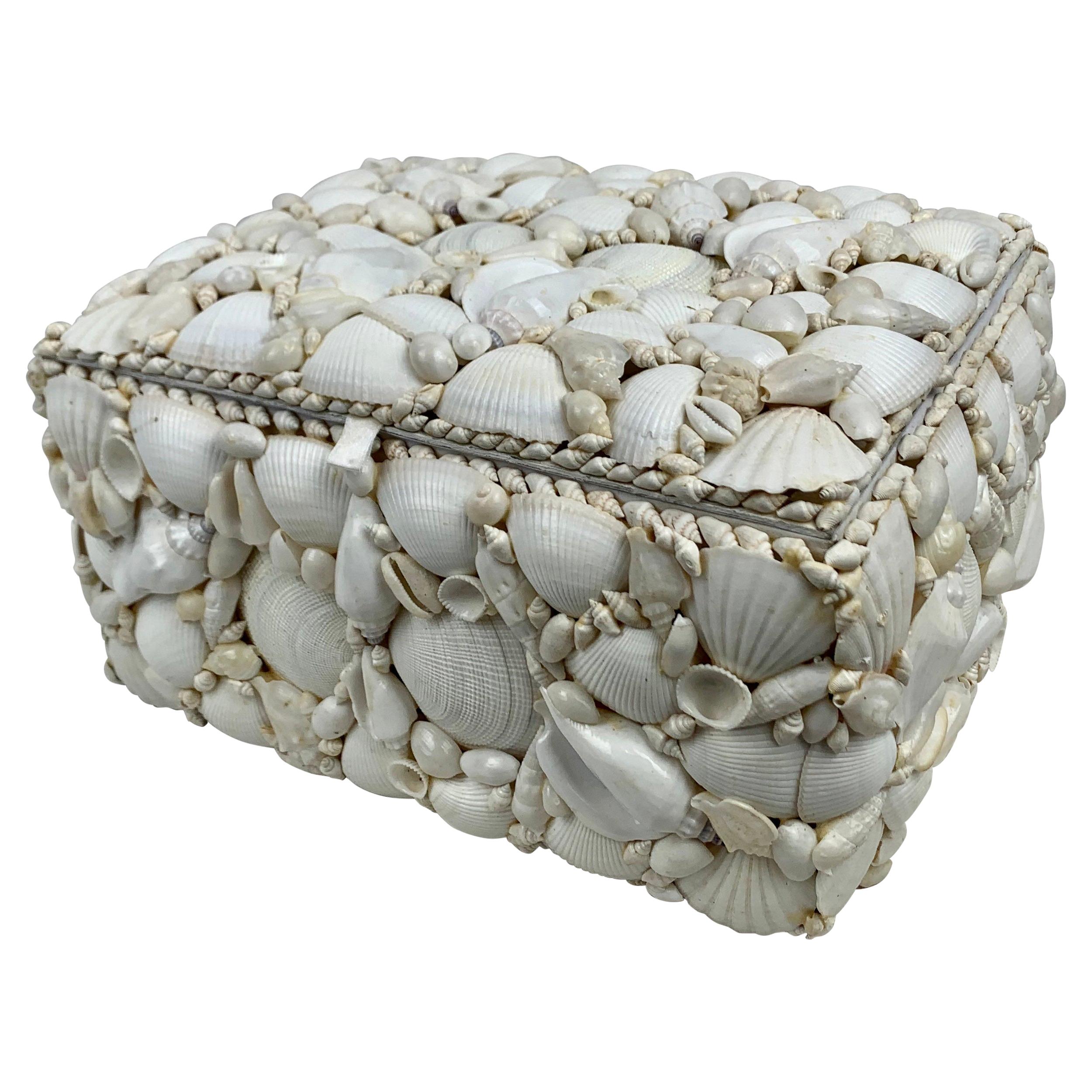 Large Natural White Shell Encrusted Hinged Box