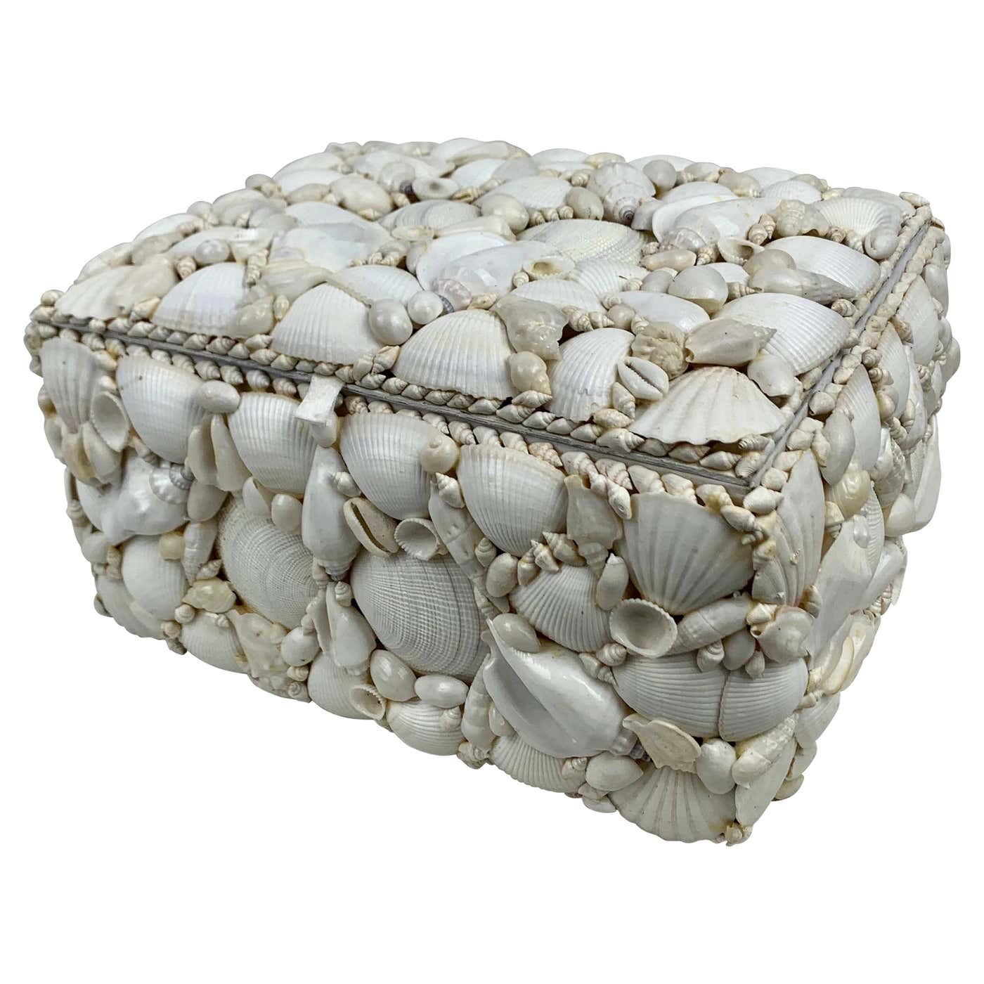 Large Natural White Shell Encrusted Hinged Box at 1stDibs