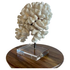 Sculture