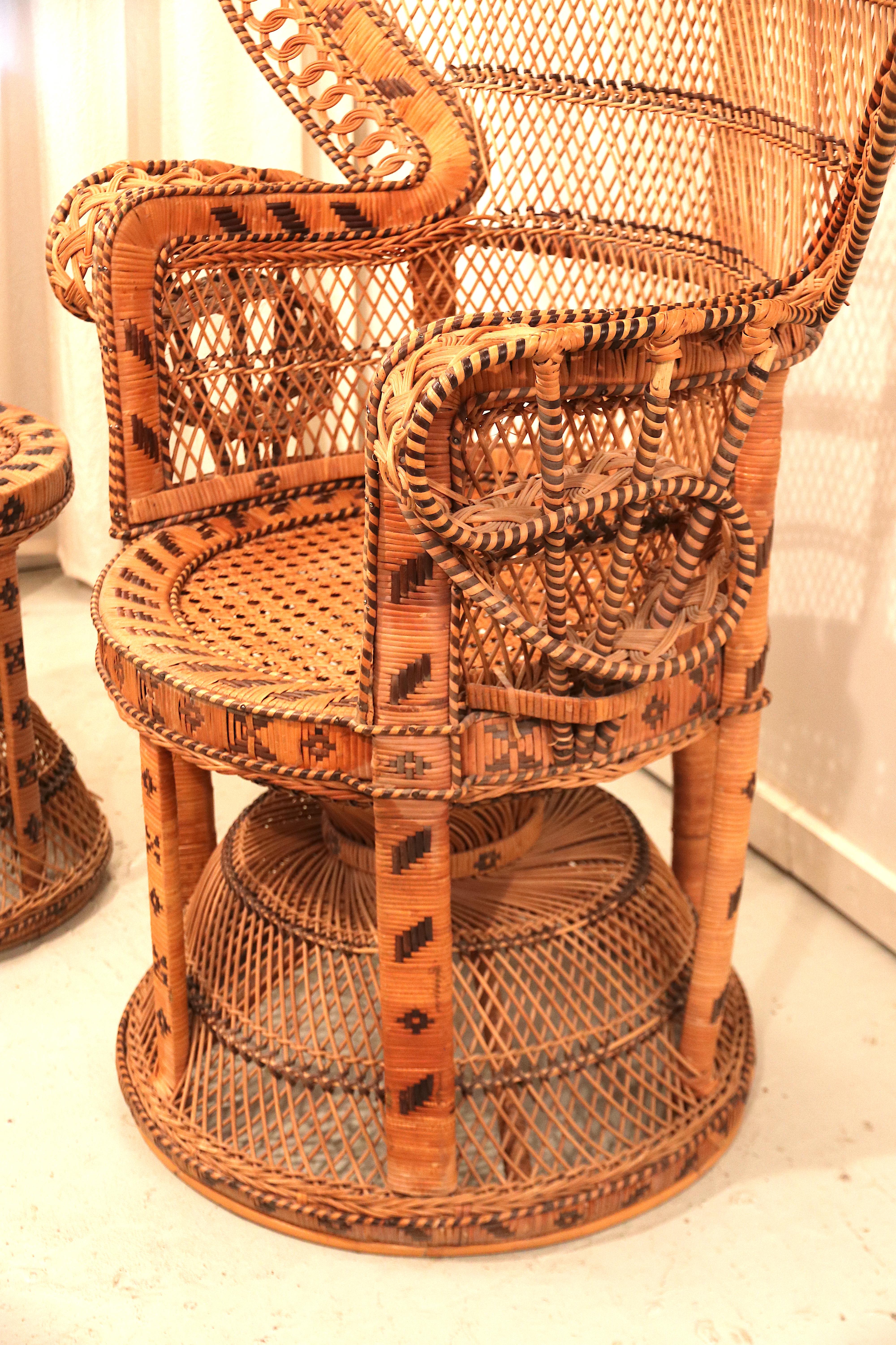 Large Wicker Cane Peacock 