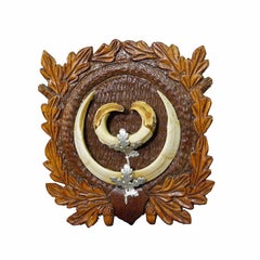 Large Wild Boar Teeth Trophy on Wooden Carved Plaque, Germany 1930s