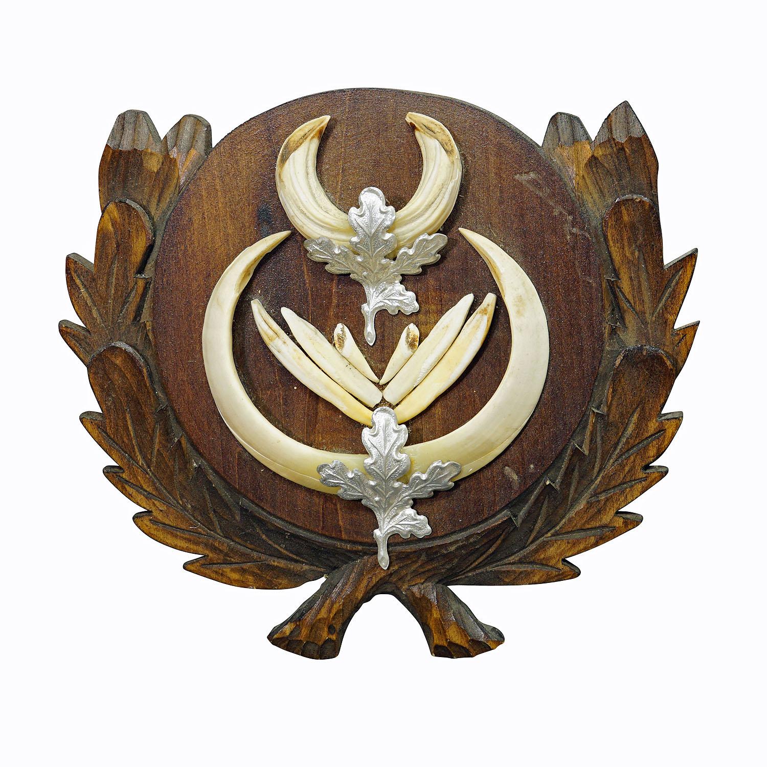 Grande trofeo con denti di cinghiale su placca di legno intagliata, Germania, anni '1950

Un grande trofeo vintage di cinghiale della Black Forest (Sus scrofa) su legno intagliato  placca. I denti sono decorati con due montature in metallo che