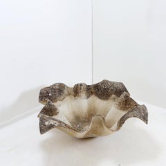 Large Willy Guhl Organic Plant Organic Planter "Elephant ear" Model - 1950s