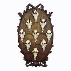 Large Wooden Carved Plaque with Chamois Trophies, Germany 1900